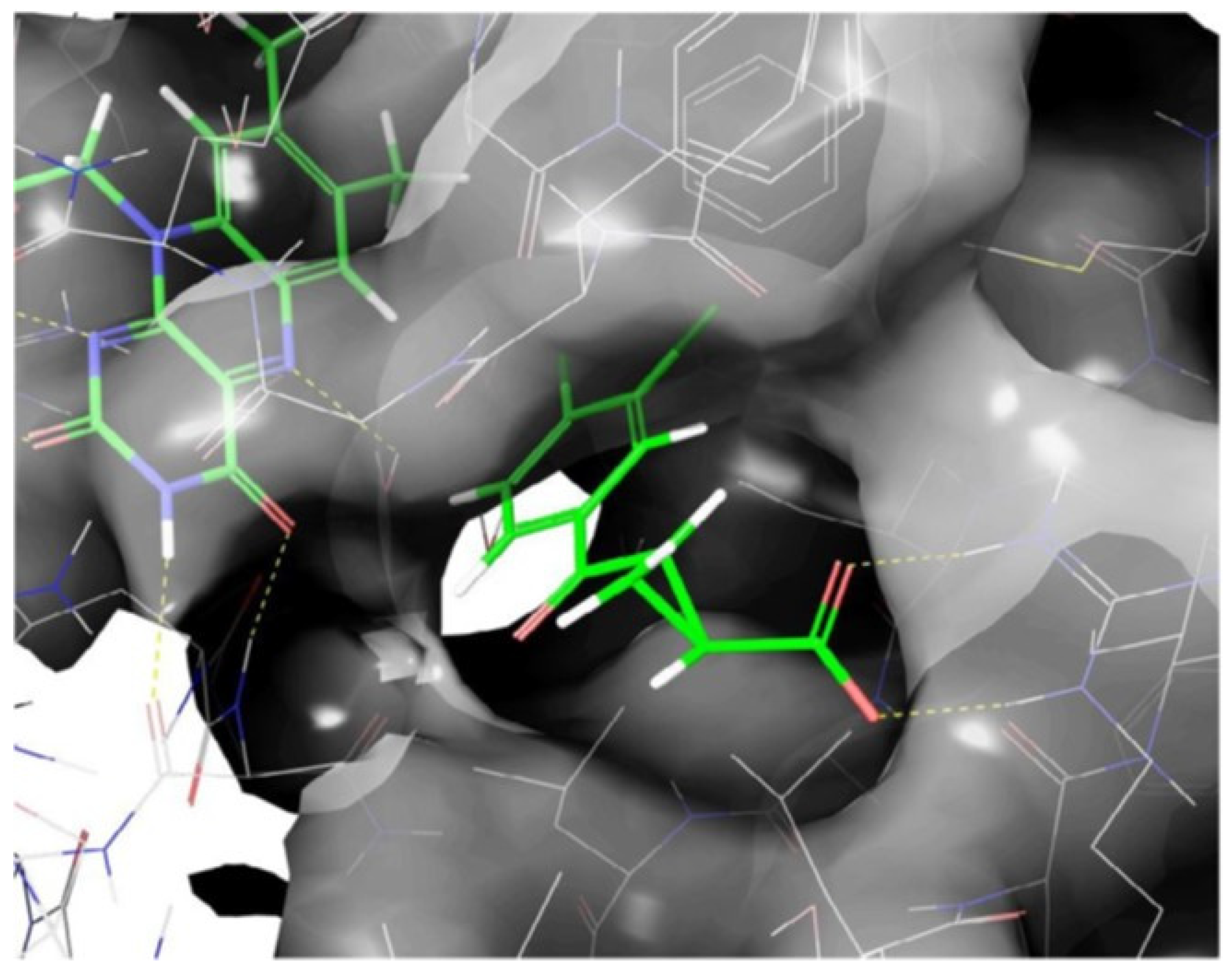 Molecules 27 00273 g010 Molecules 27 00273 g010