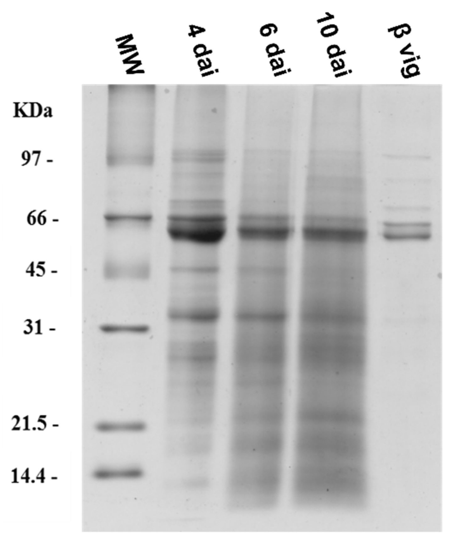 Molecules 27 00277 g006