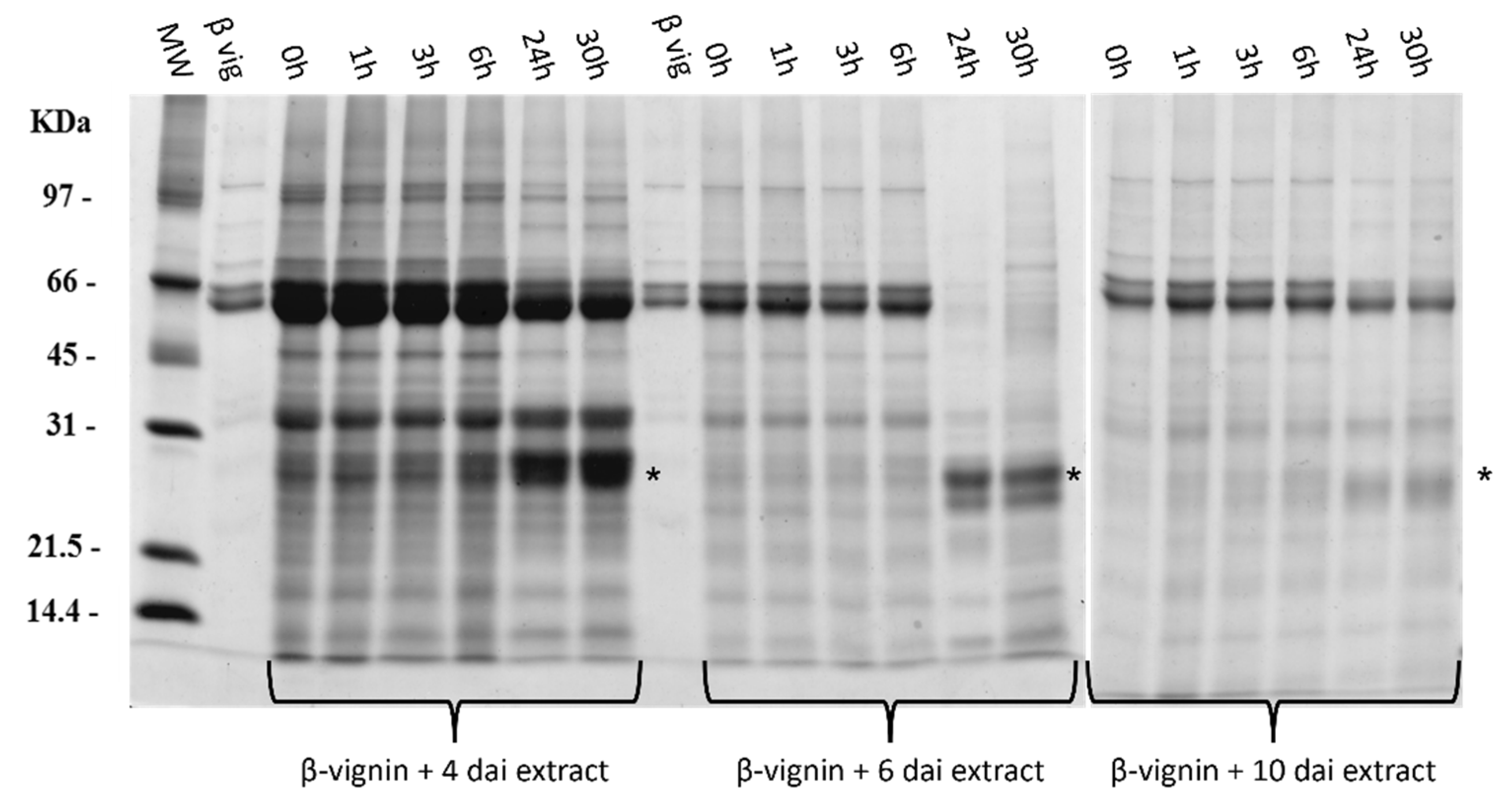 Molecules 27 00277 g007