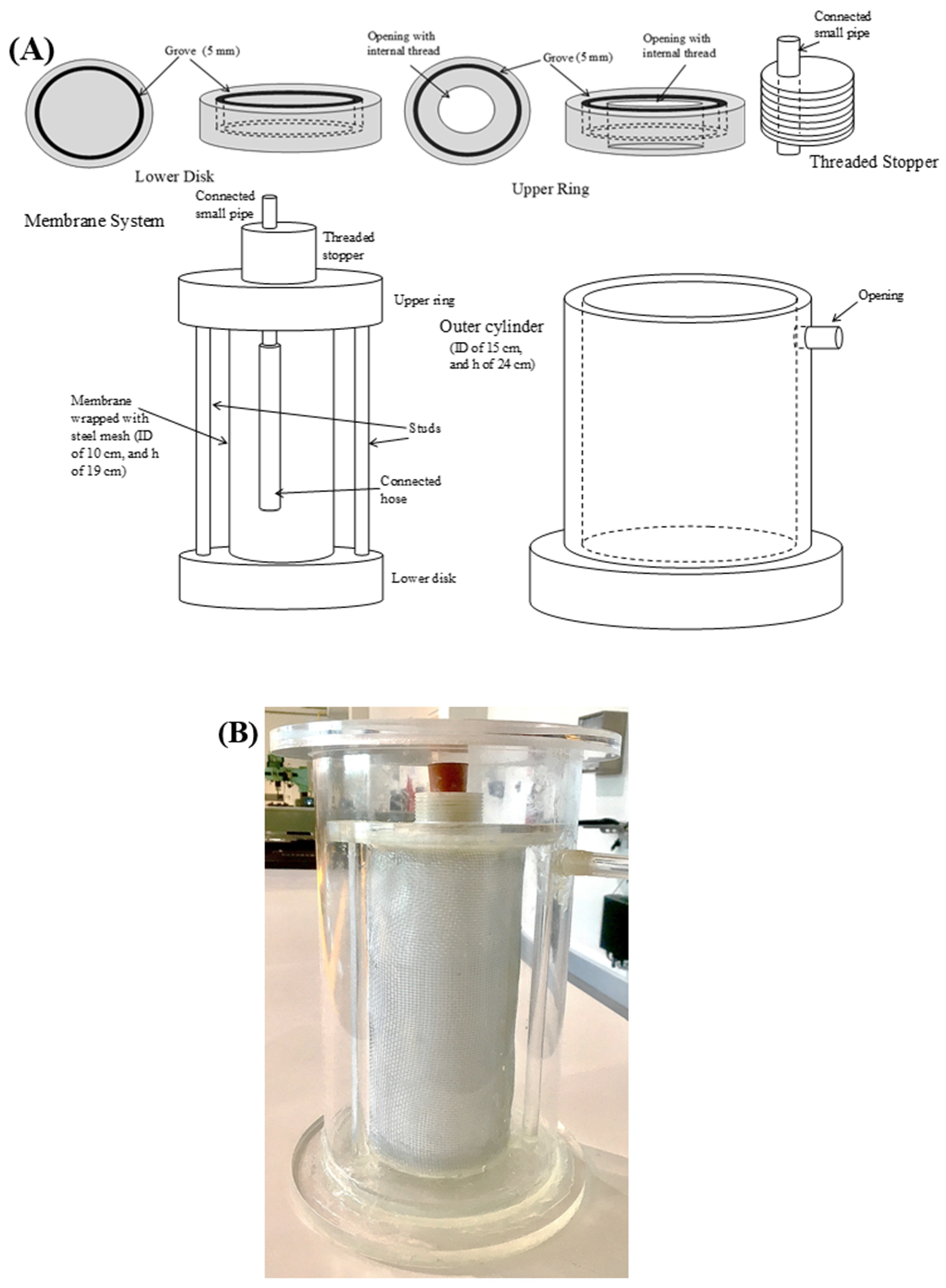 Molecules 27 00288 g006 550