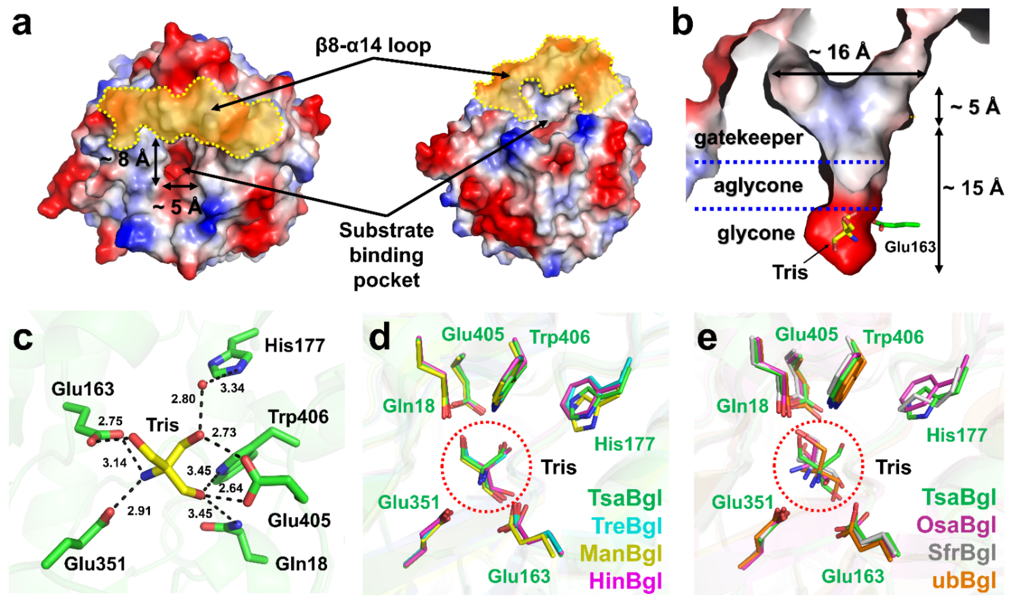 Molecules 27 00290 g003