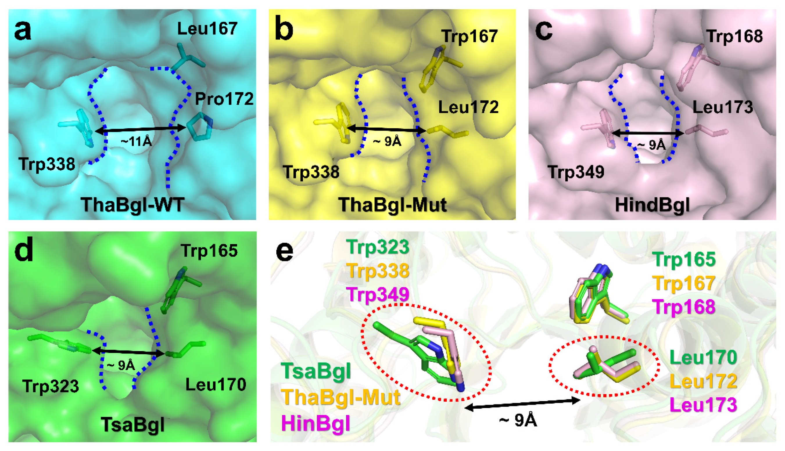 Molecules 27 00290 g005