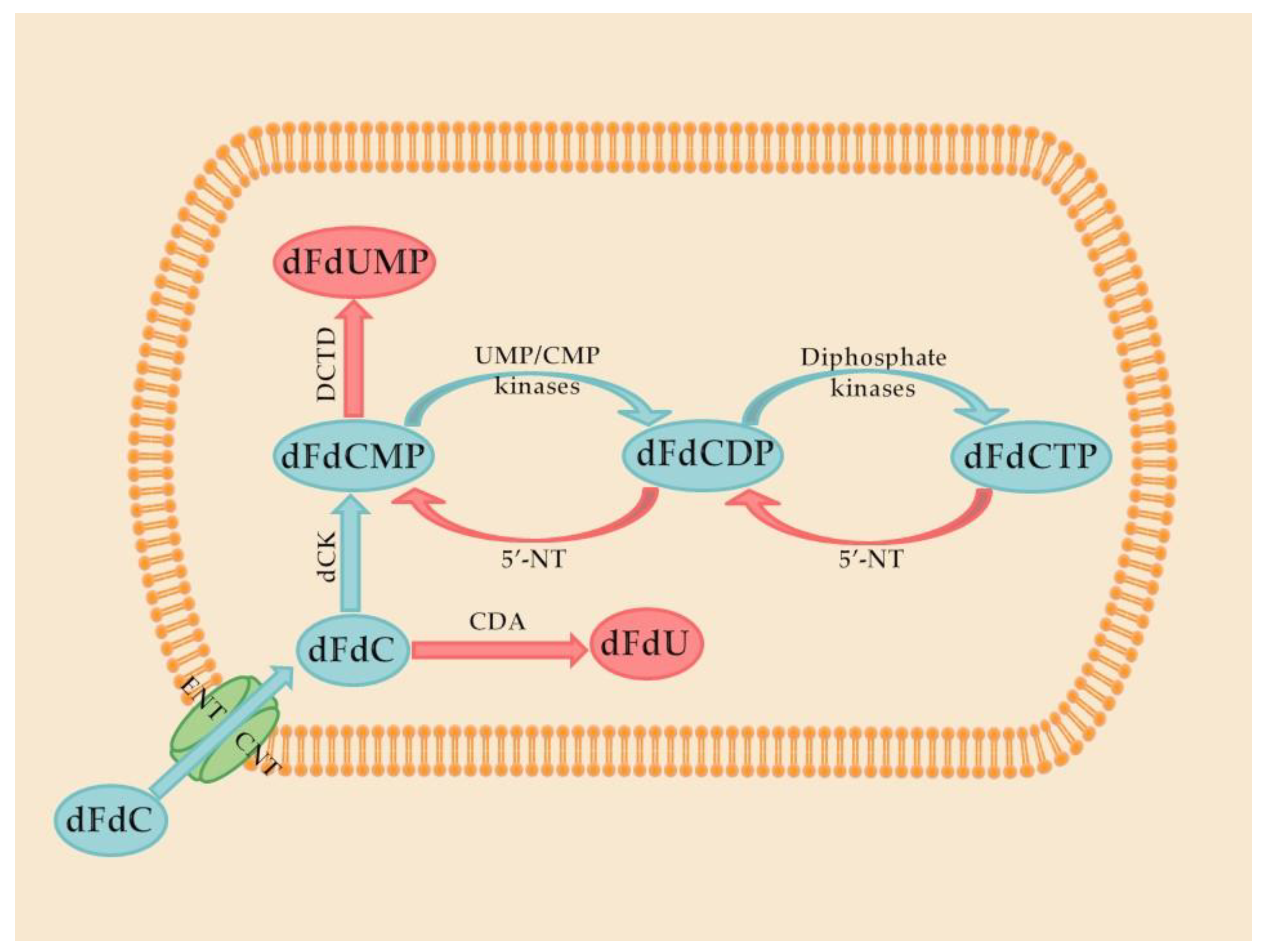 Molecules 27 00291 g001