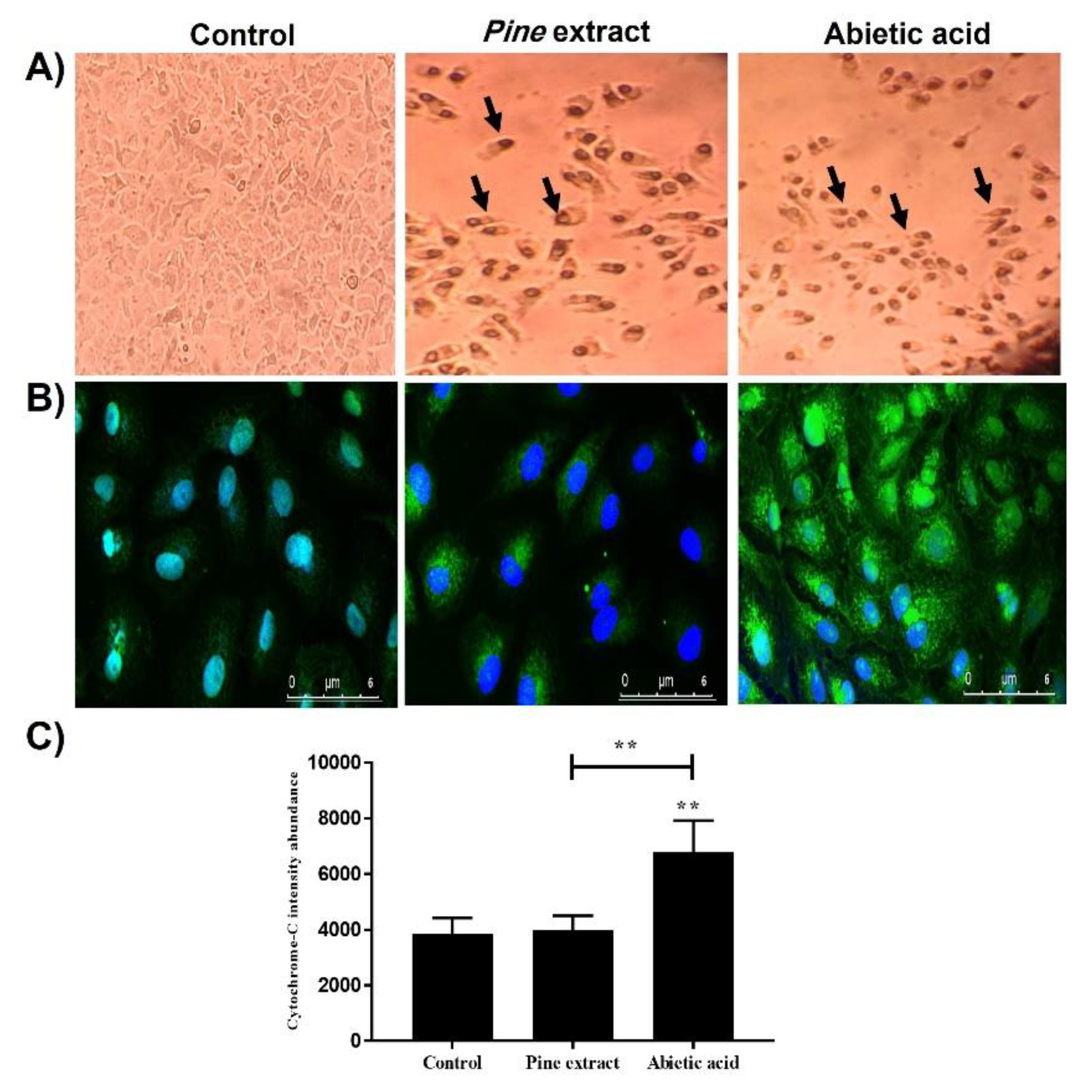Molecules 27 00293 g002