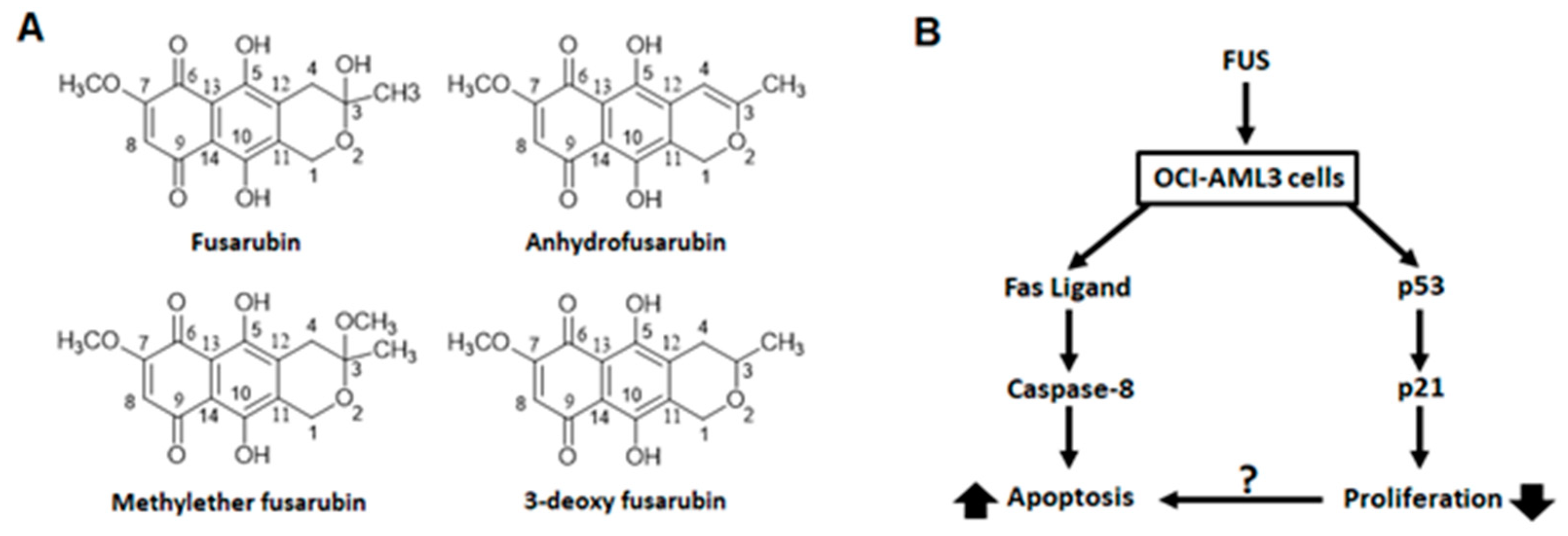 Molecules 27 00296 g004