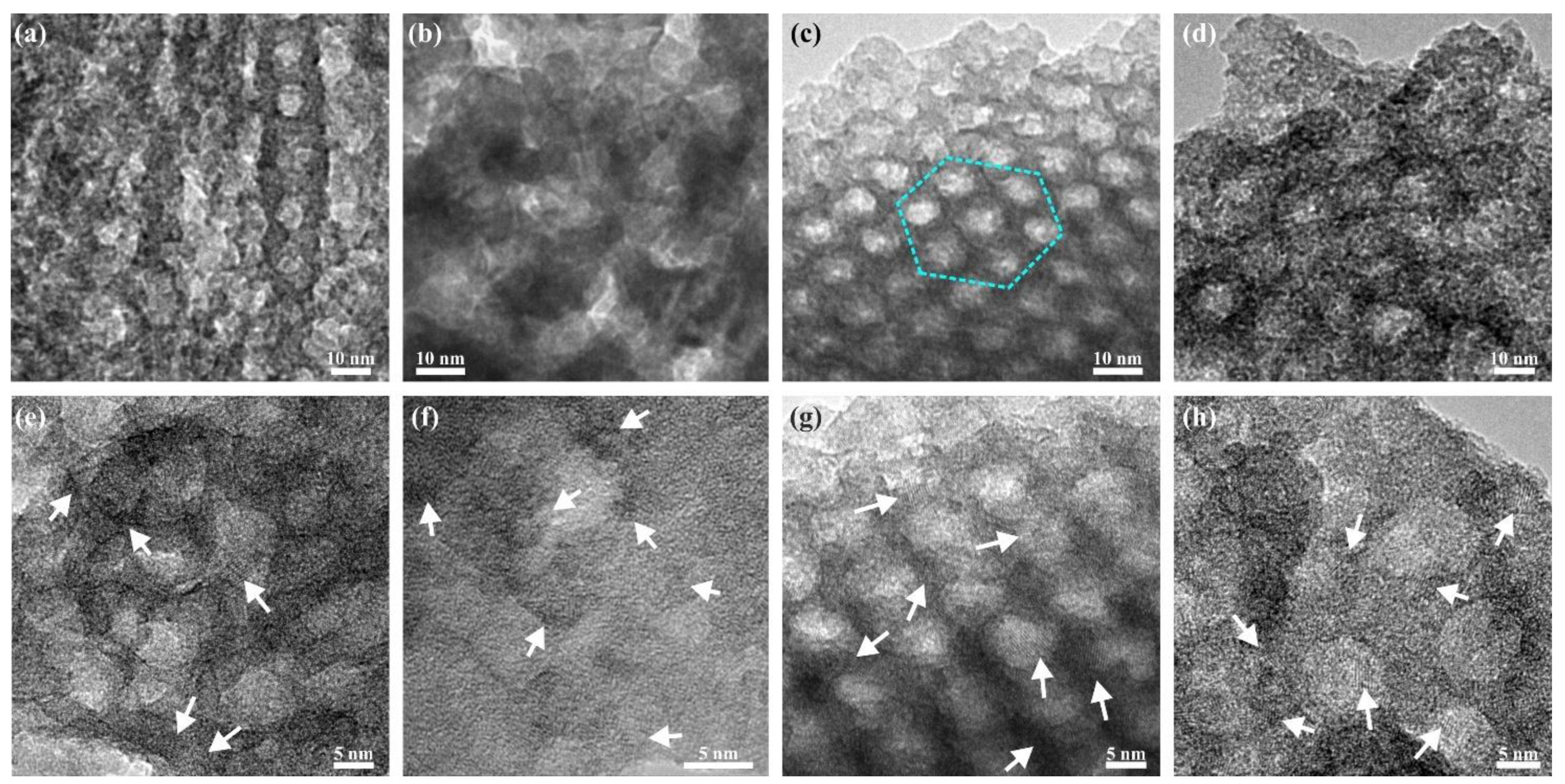 Molecules 27 00303 g004 Molecules 27 00303 g004