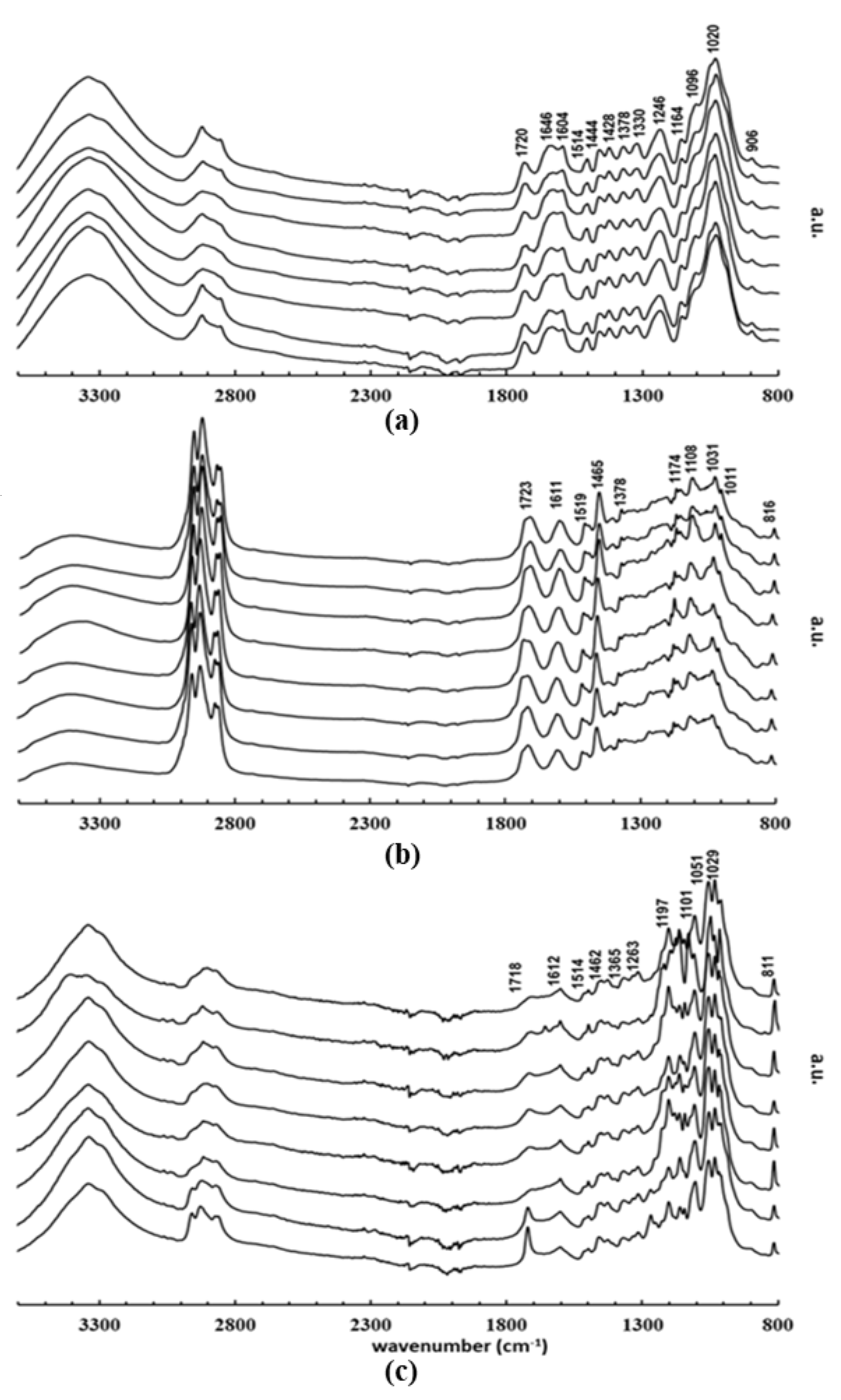 Molecules 27 00304 g004 Molecules 27 00304 g004