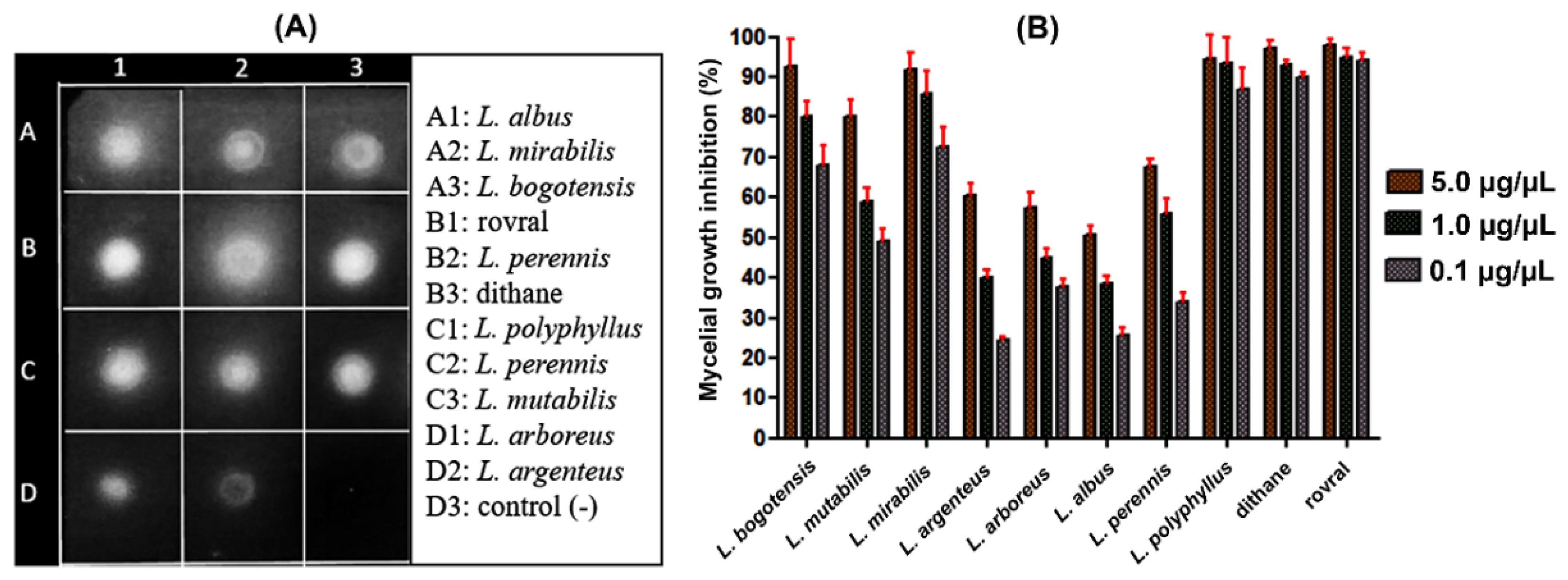 Molecules 27 00305 g002 Molecules 27 00305 g002