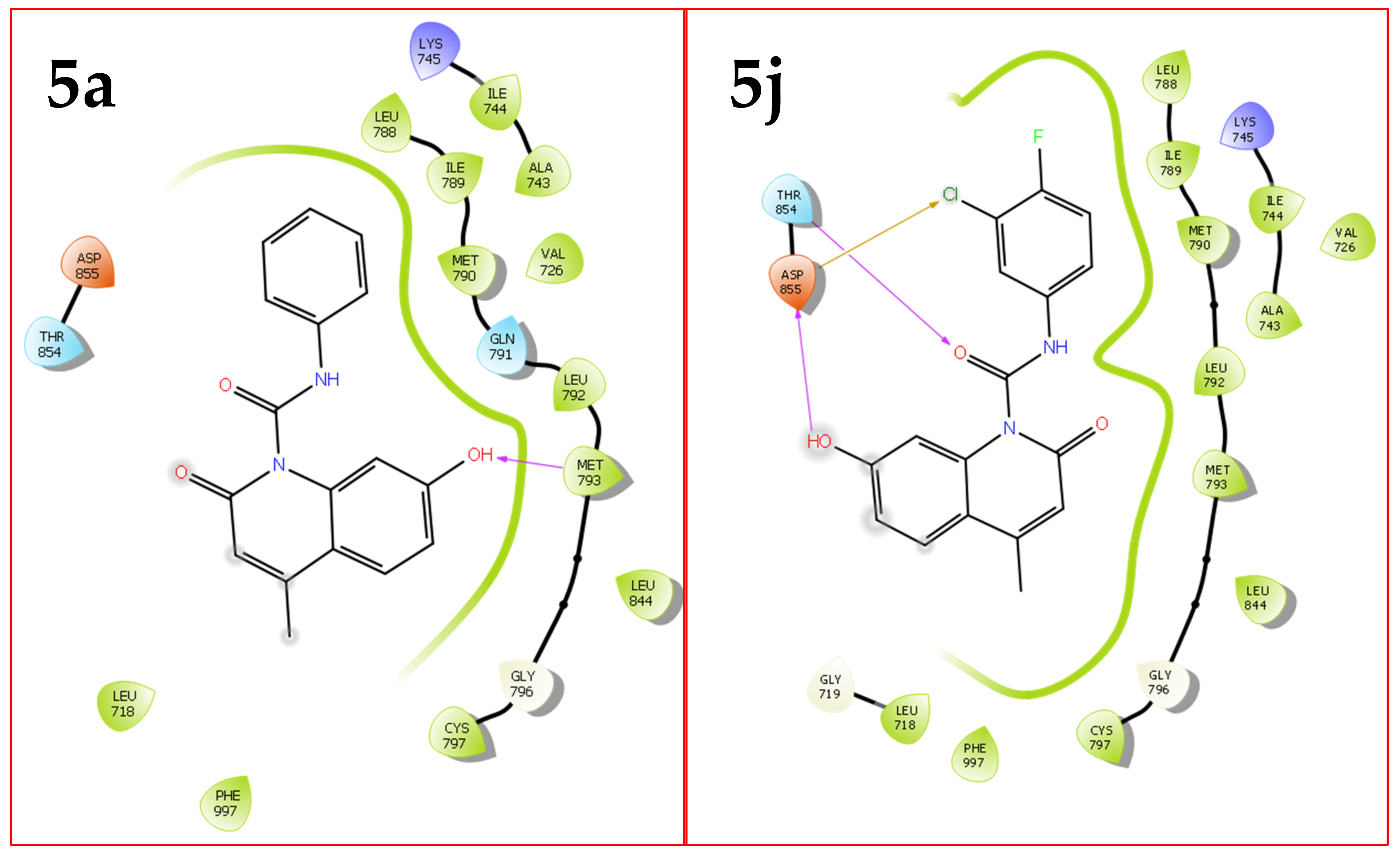 Molecules 27 00309 g004