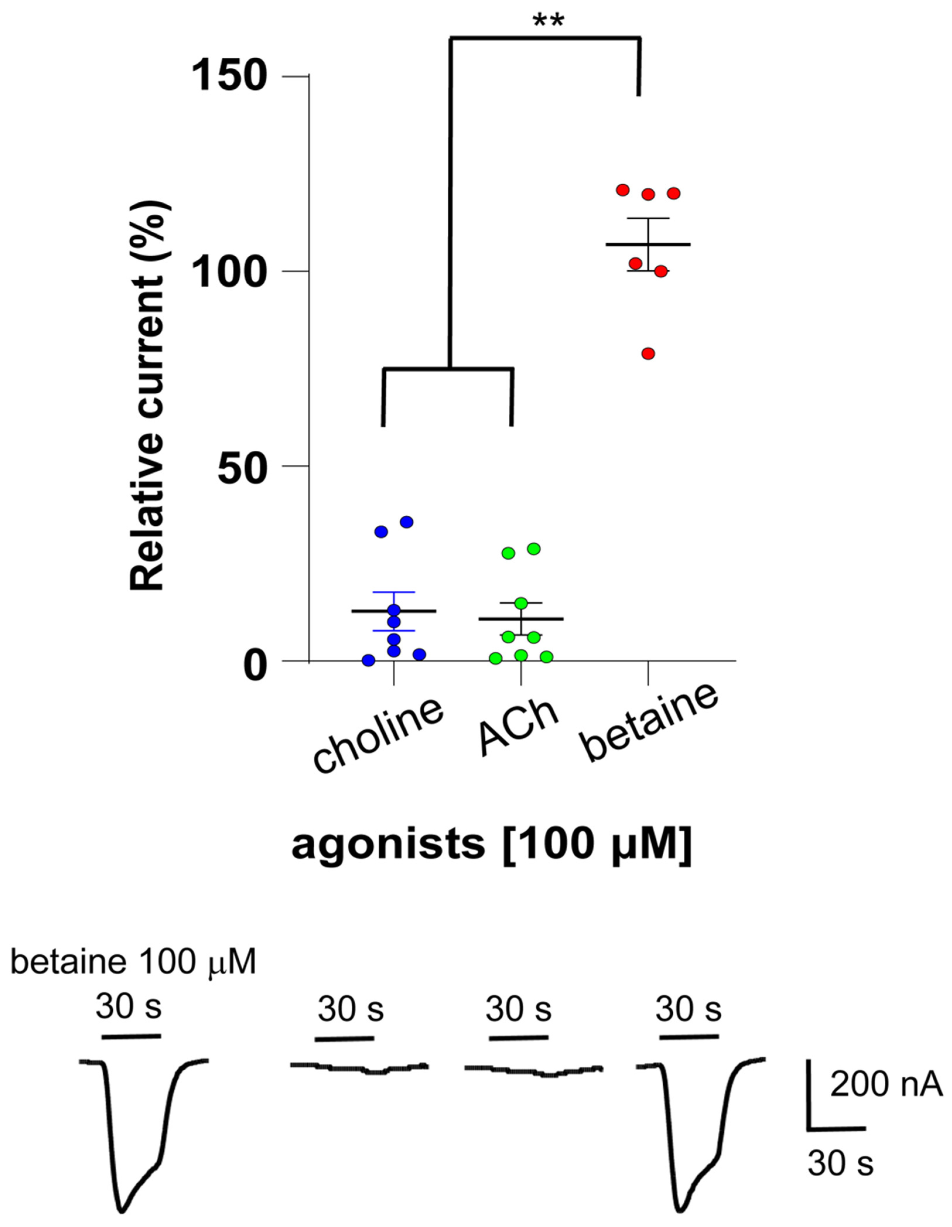 Molecules 27 00312 g001 550