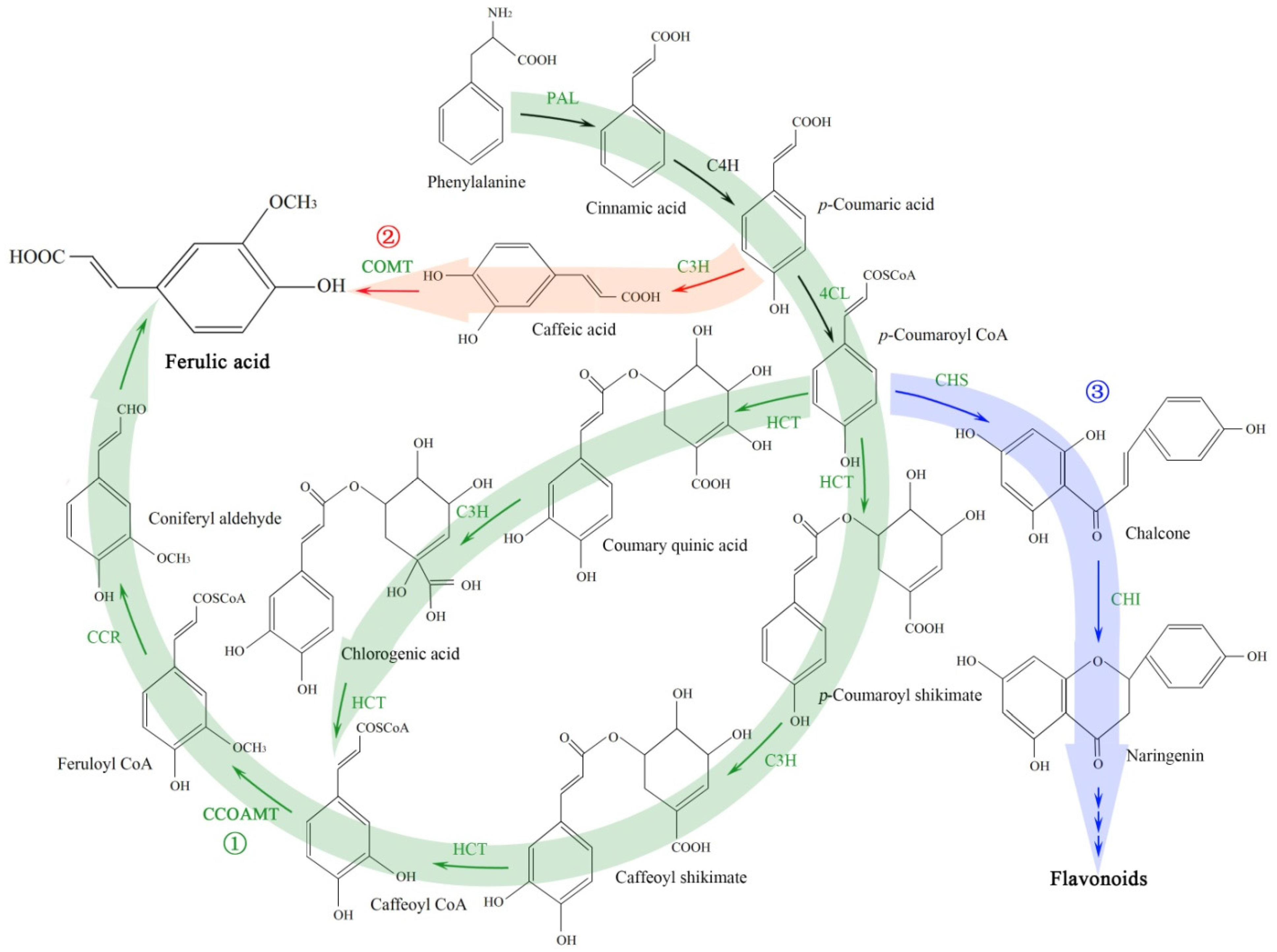 Molecules 27 00320 g001 550