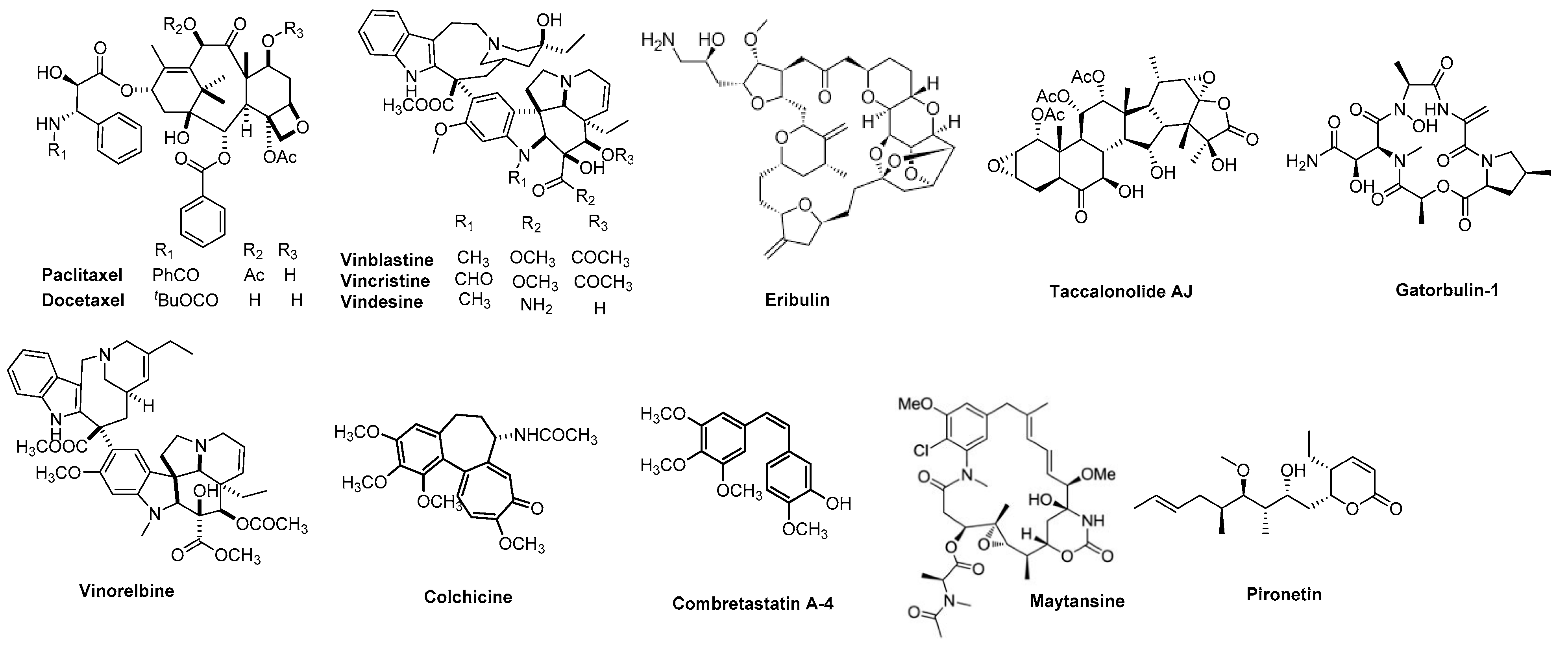 Molecules 27 00321 g001