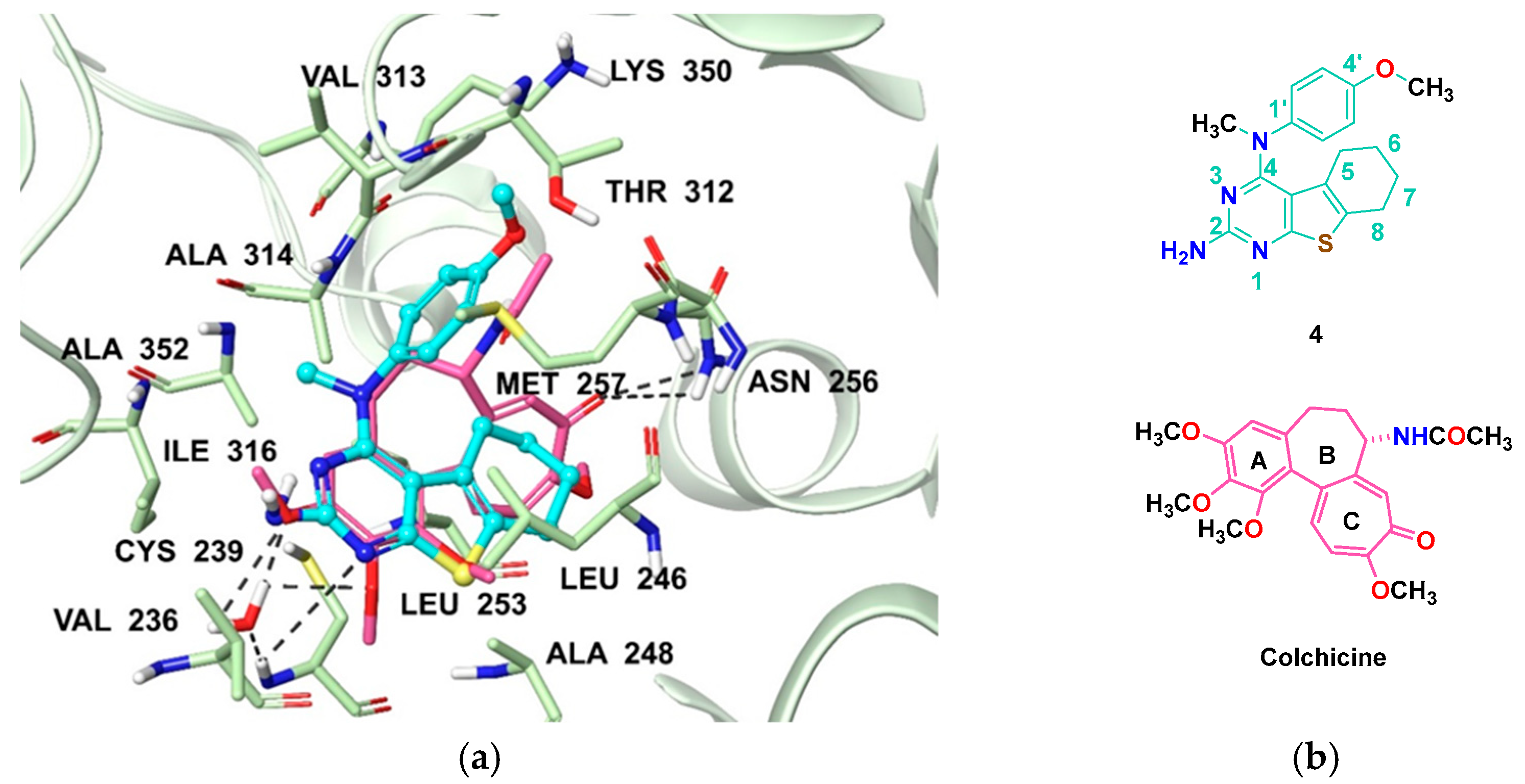Molecules 27 00321 g004