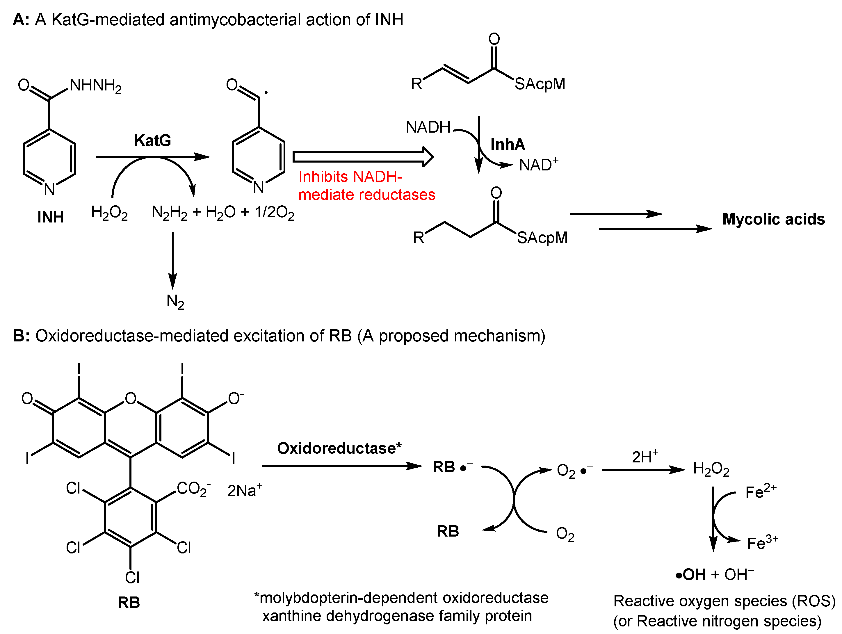 Molecules 27 00322 g005