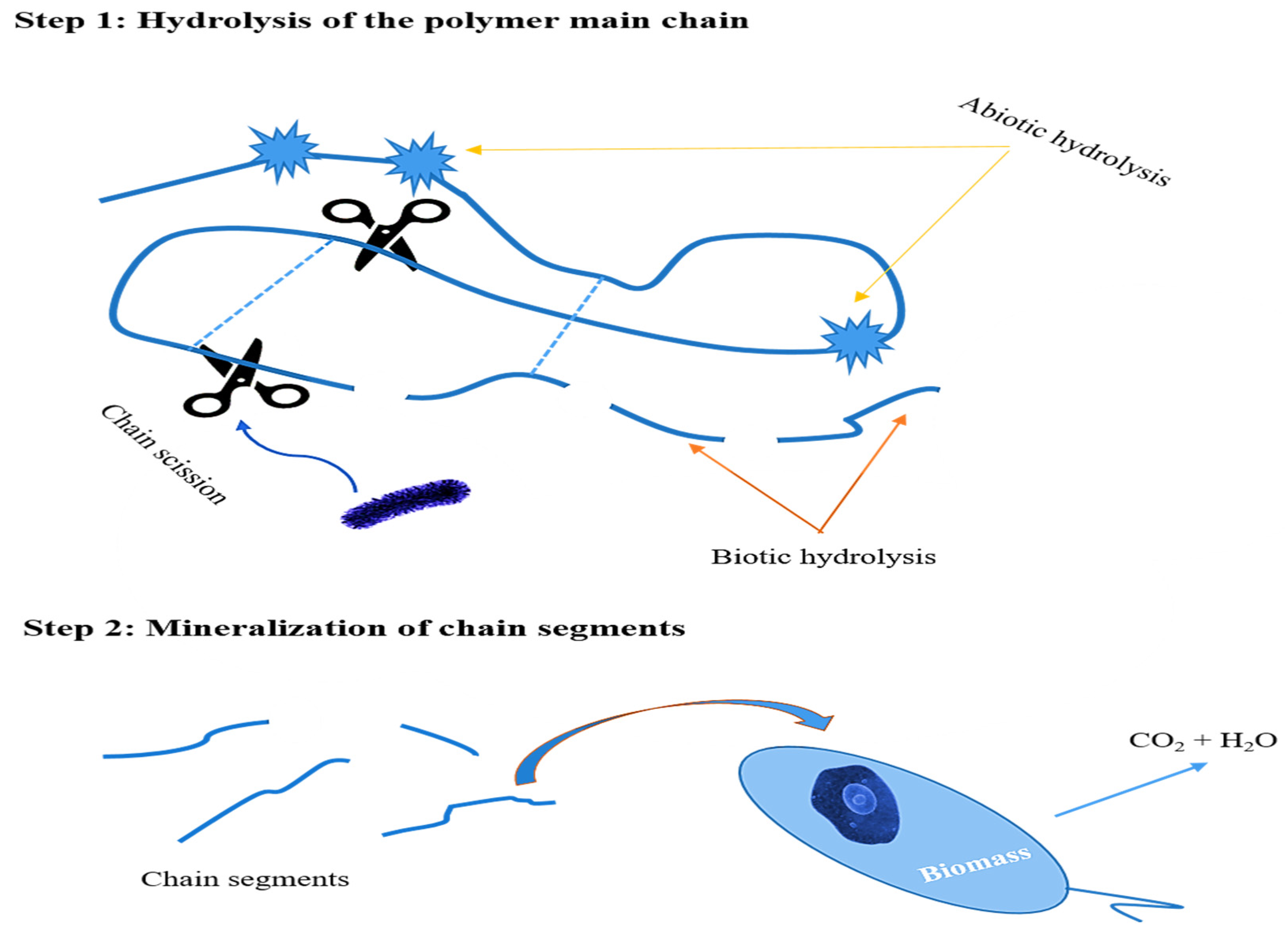 Molecules 27 00325 g008