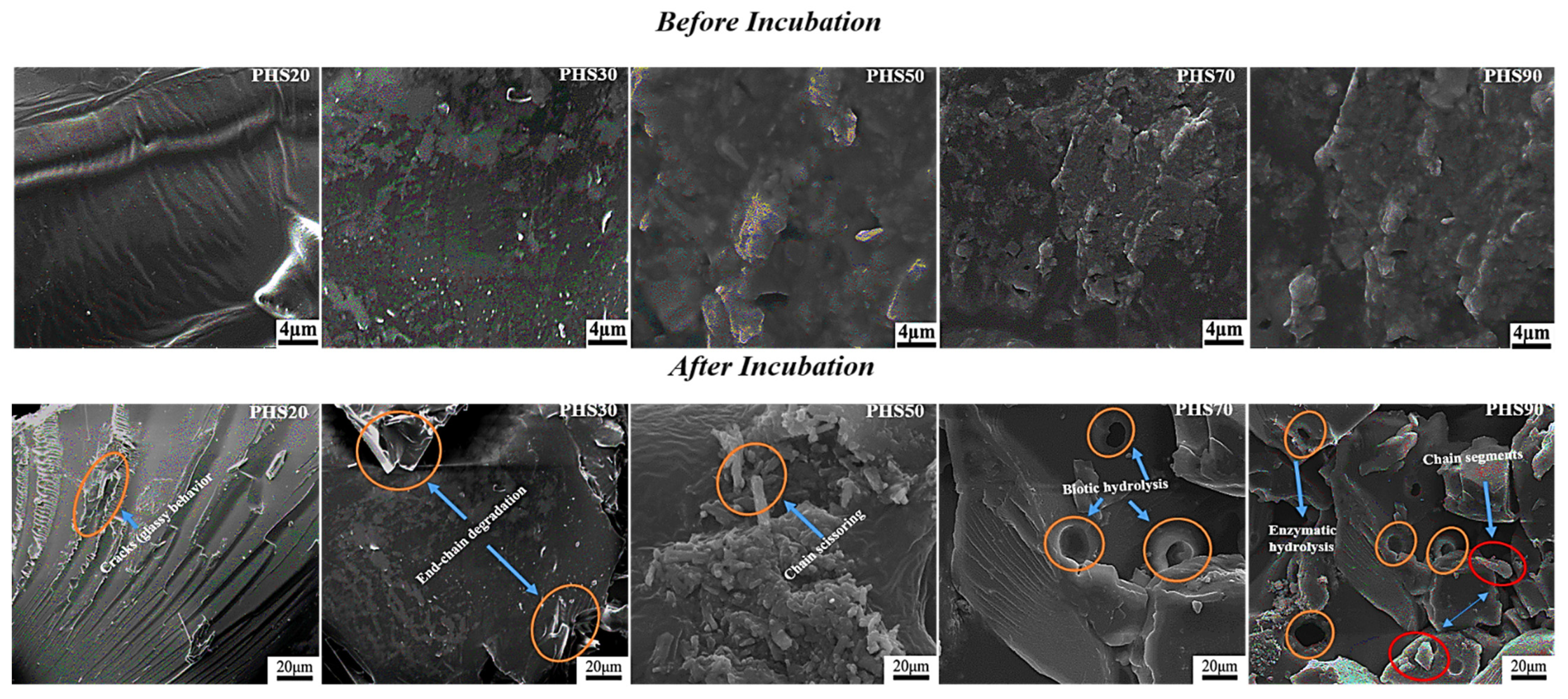 Molecules 27 00325 g010