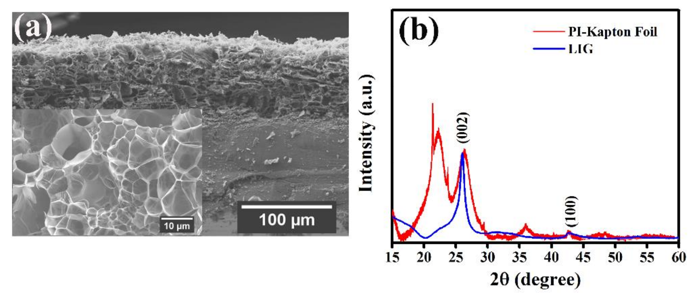 Molecules 27 00329 g002