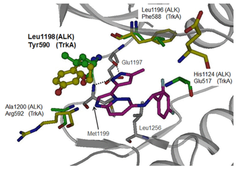 Molecules 27 00330 g008