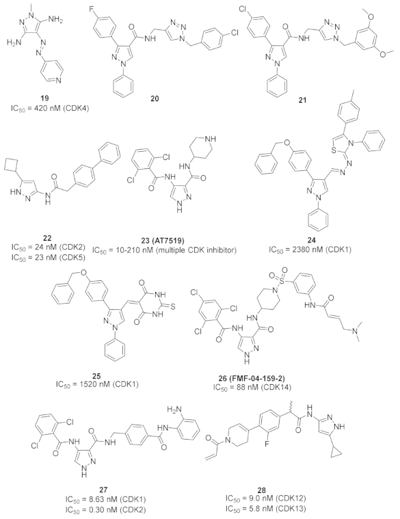 Molecules 27 00330 g026
