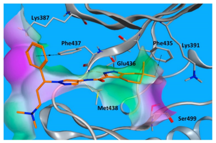 Molecules 27 00330 g041