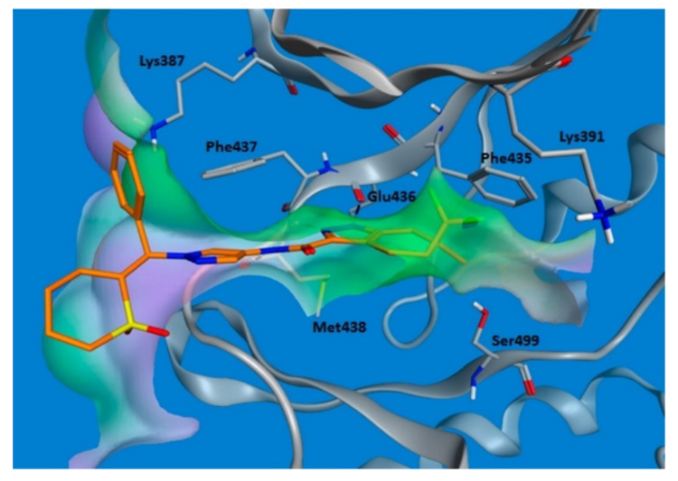 Molecules 27 00330 g042
