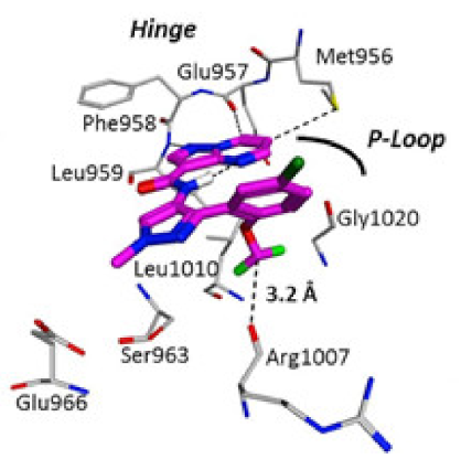 Molecules 27 00330 g051