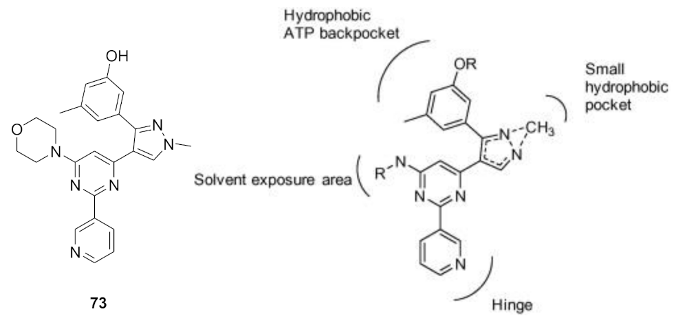 Molecules 27 00330 g076