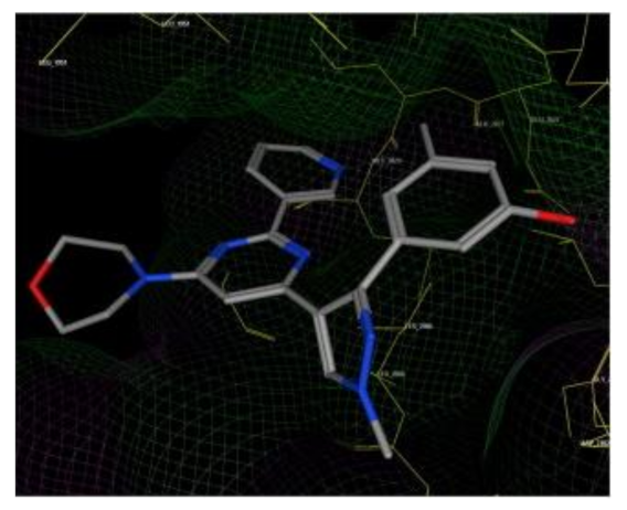 Molecules 27 00330 g077