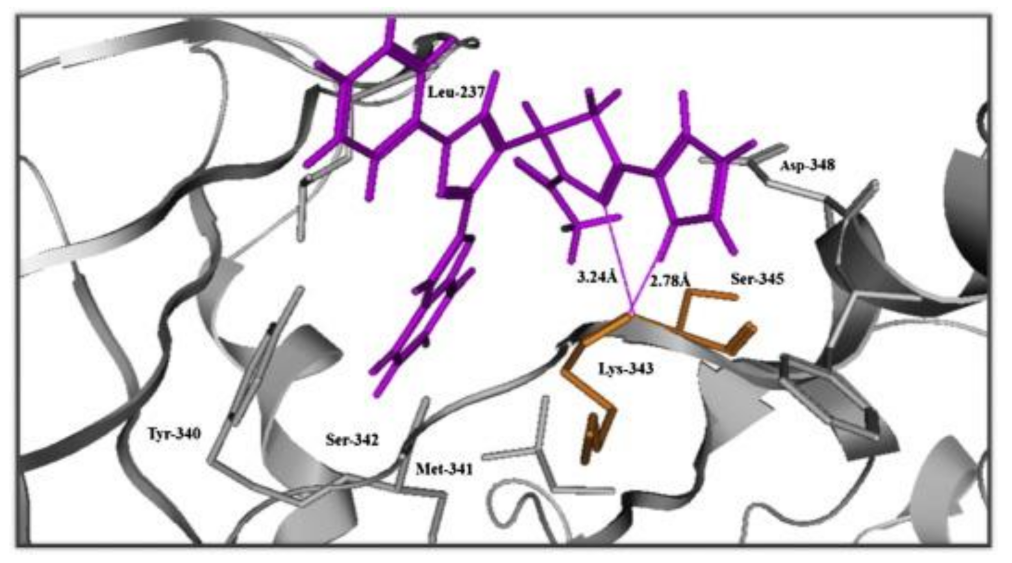 Molecules 27 00330 g079