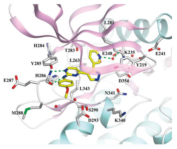 Molecules 27 00330 g081