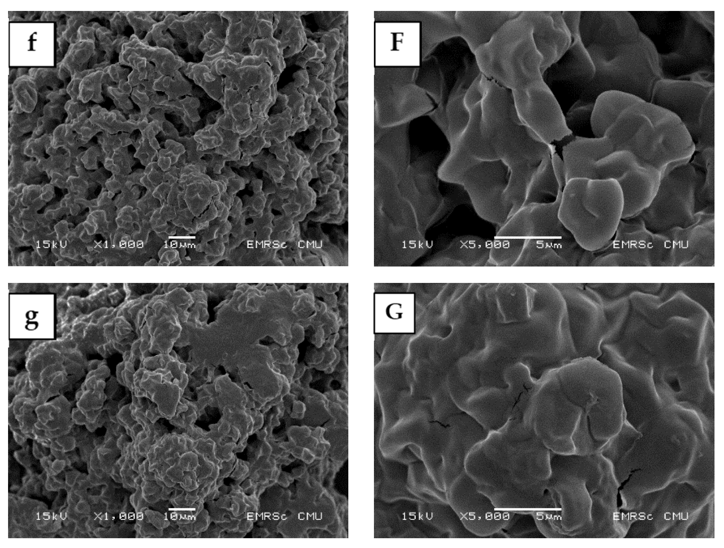 Molecules 27 00331 g001b 550