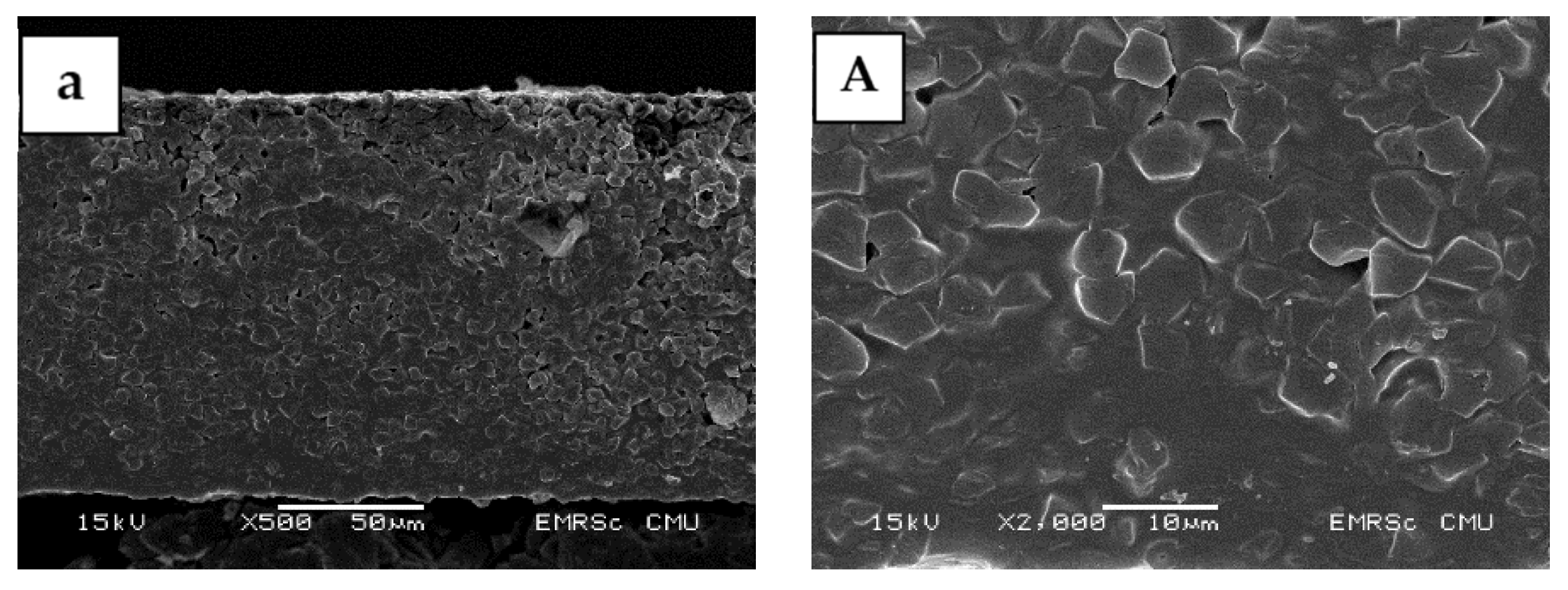 Molecules 27 00331 g003a 550