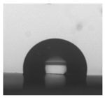 Molecules 27 00331 i002