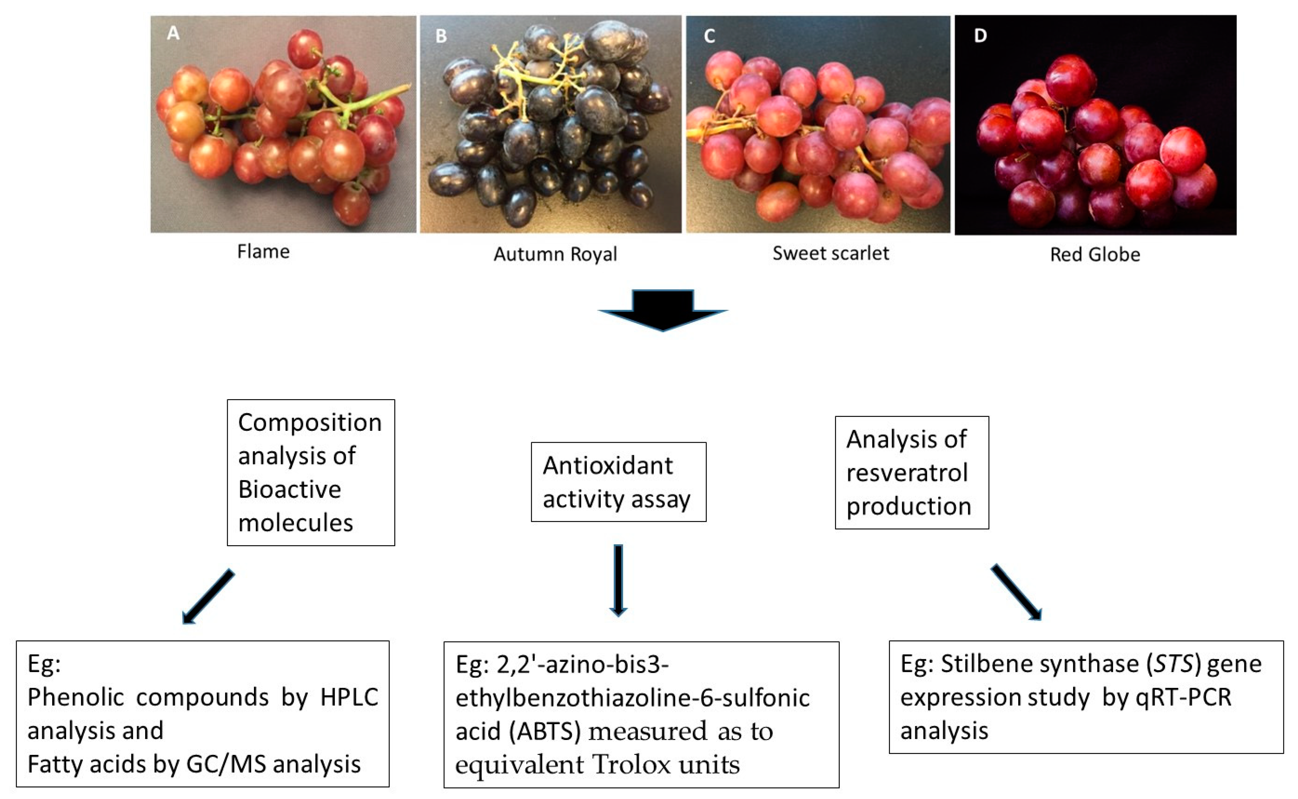Molecules 27 00336 g001