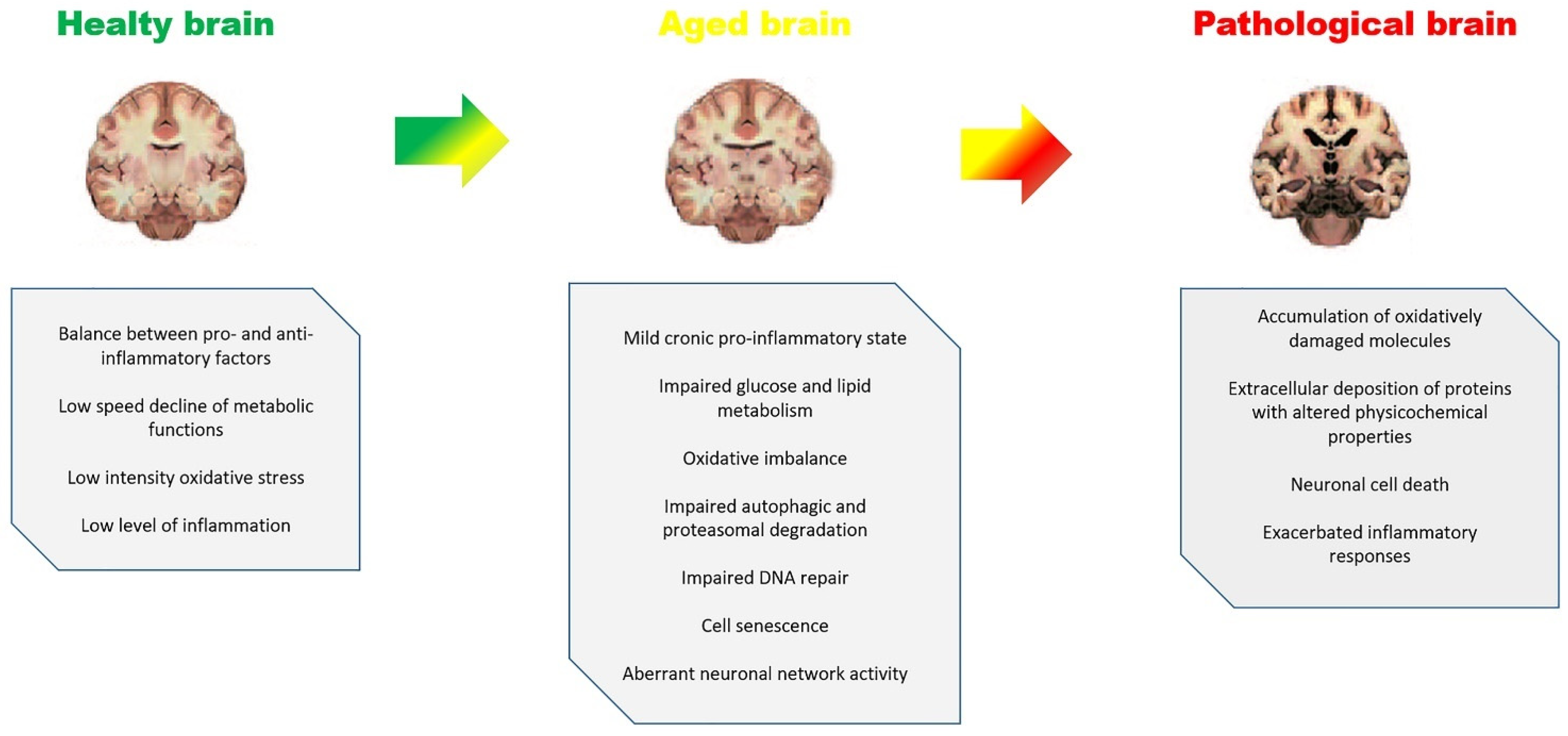 Molecules 27 00341 g001