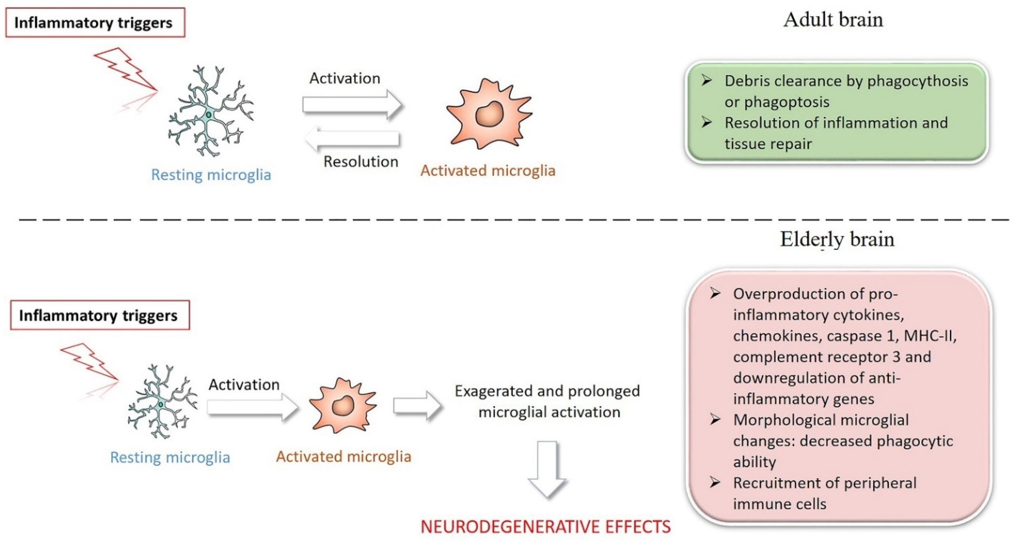 Molecules 27 00341 g002