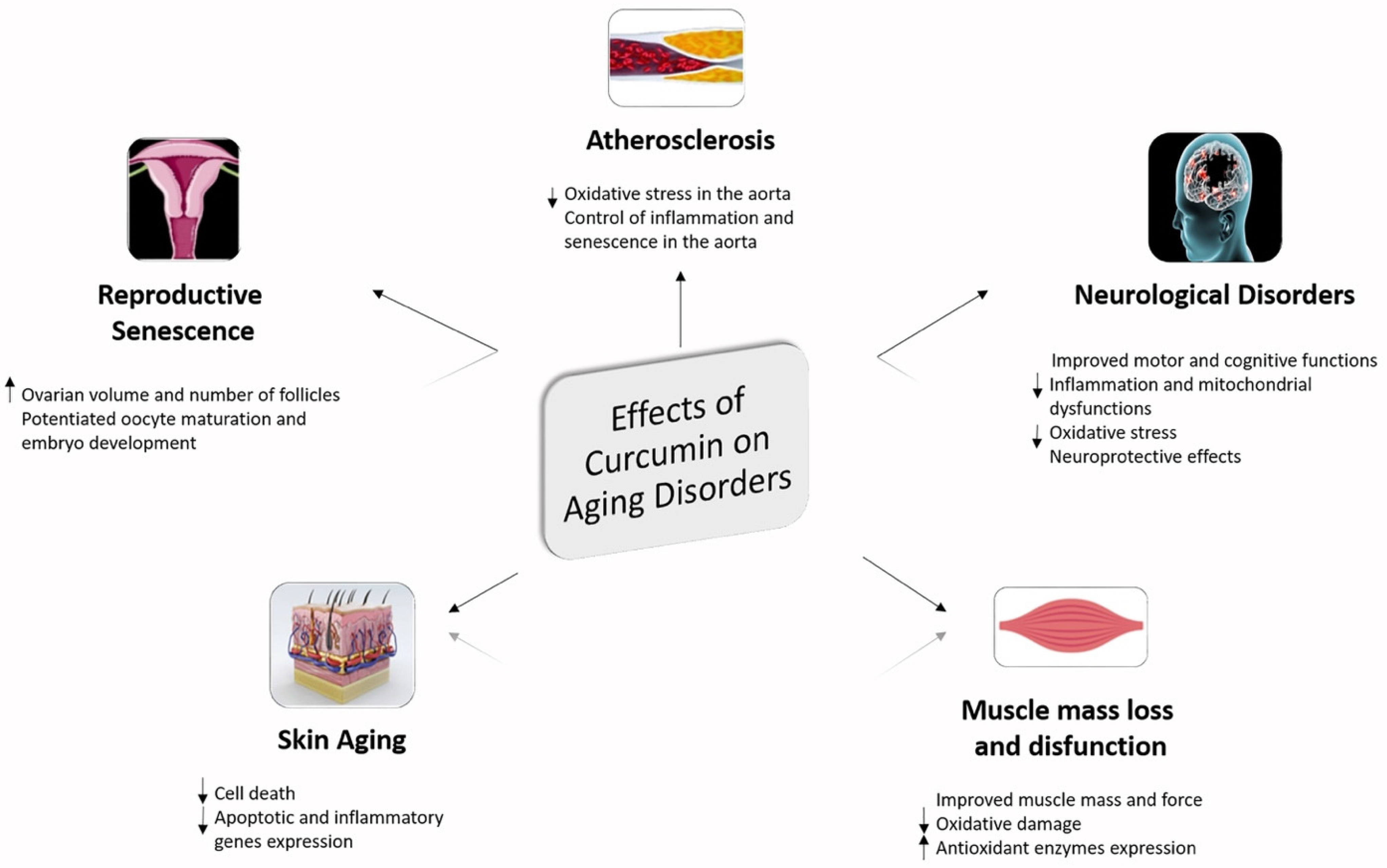 Molecules 27 00341 g005