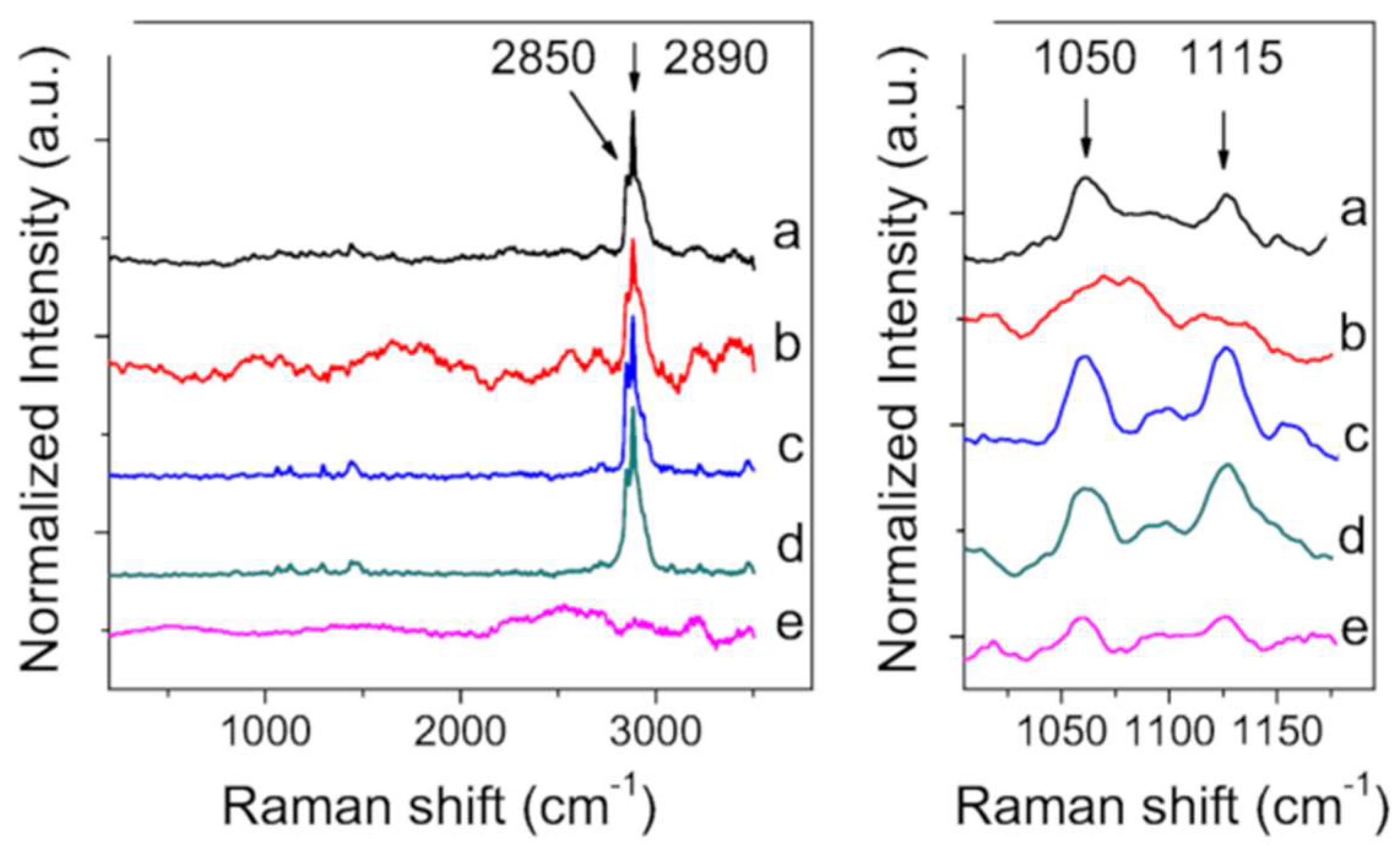 Molecules 27 00344 g006
