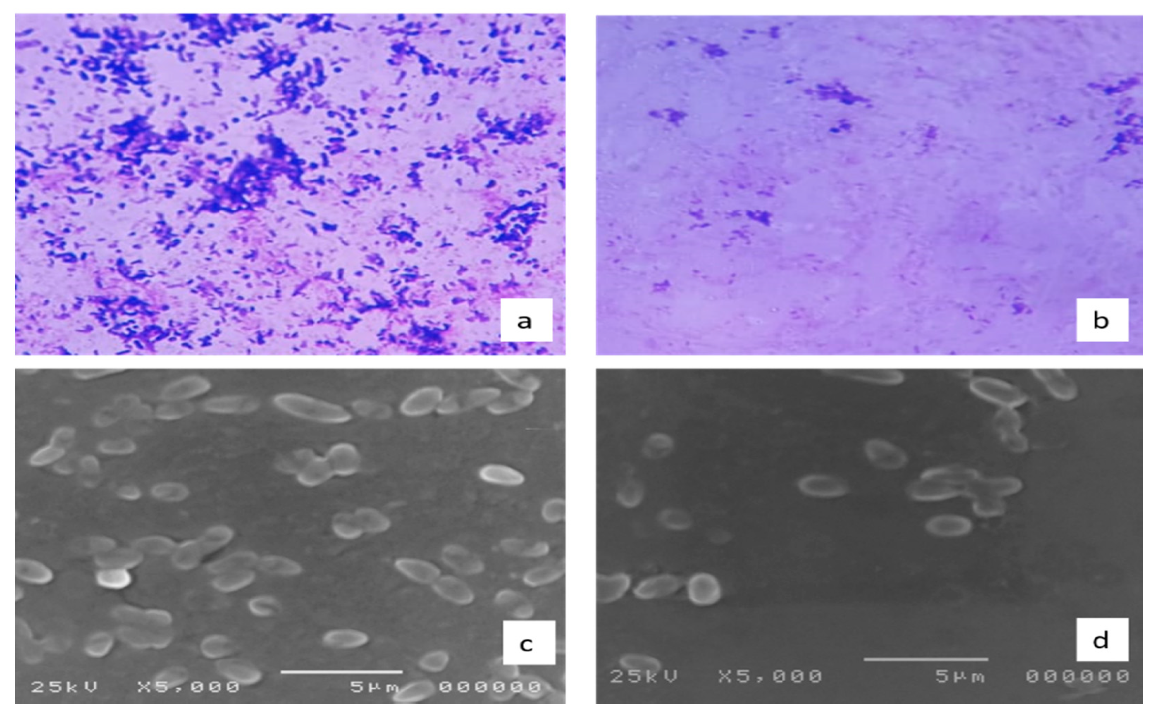 Molecules 27 00346 g008 550