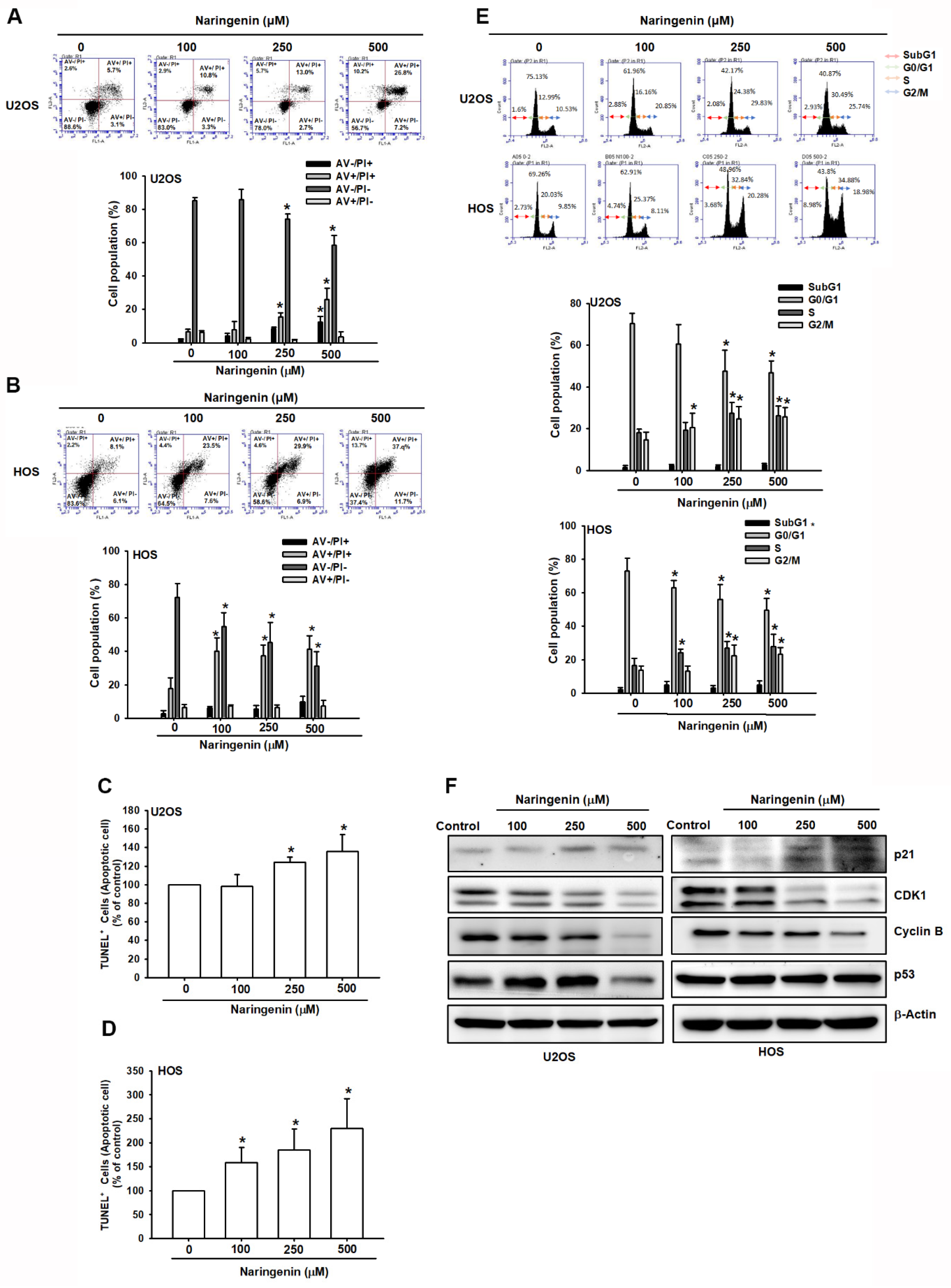 Molecules 27 00373 g002