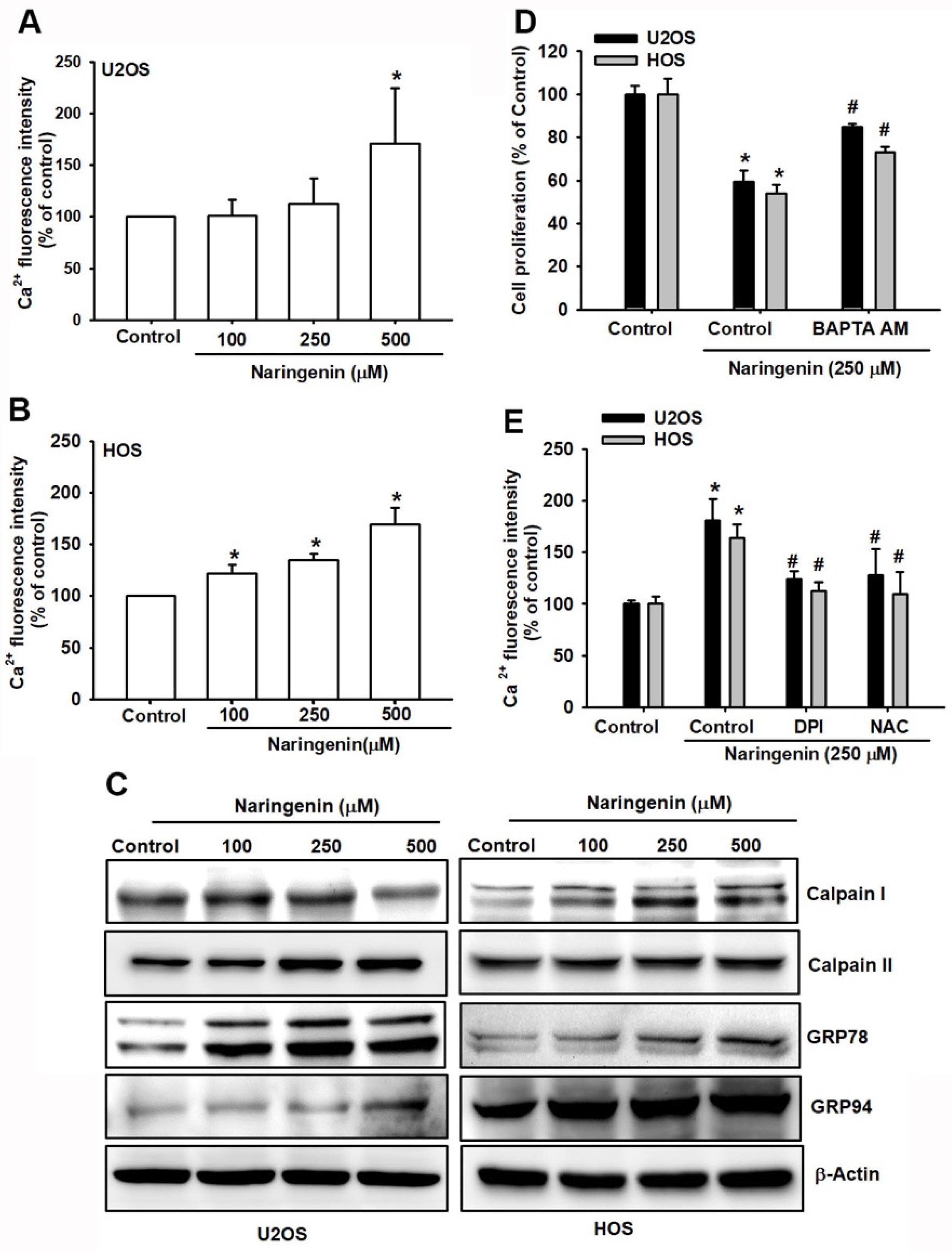 Molecules 27 00373 g004