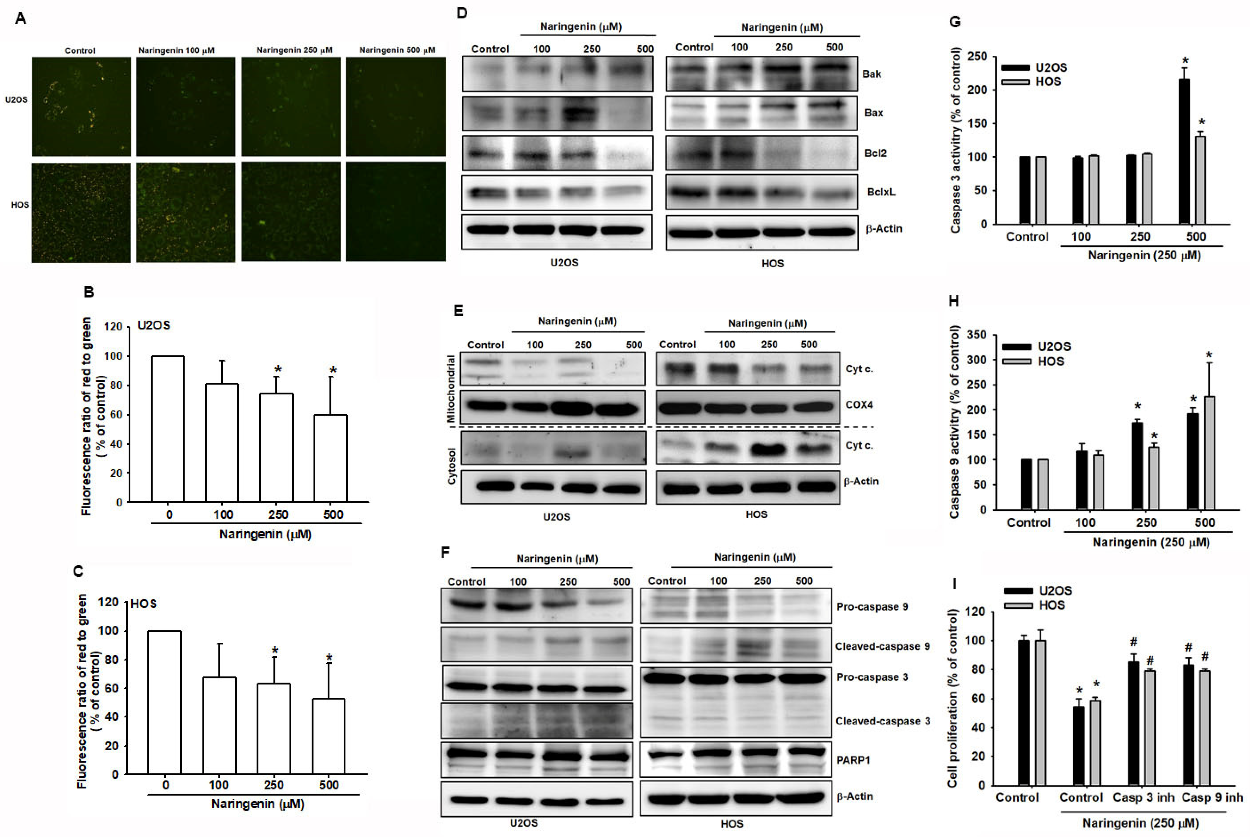 Molecules 27 00373 g005