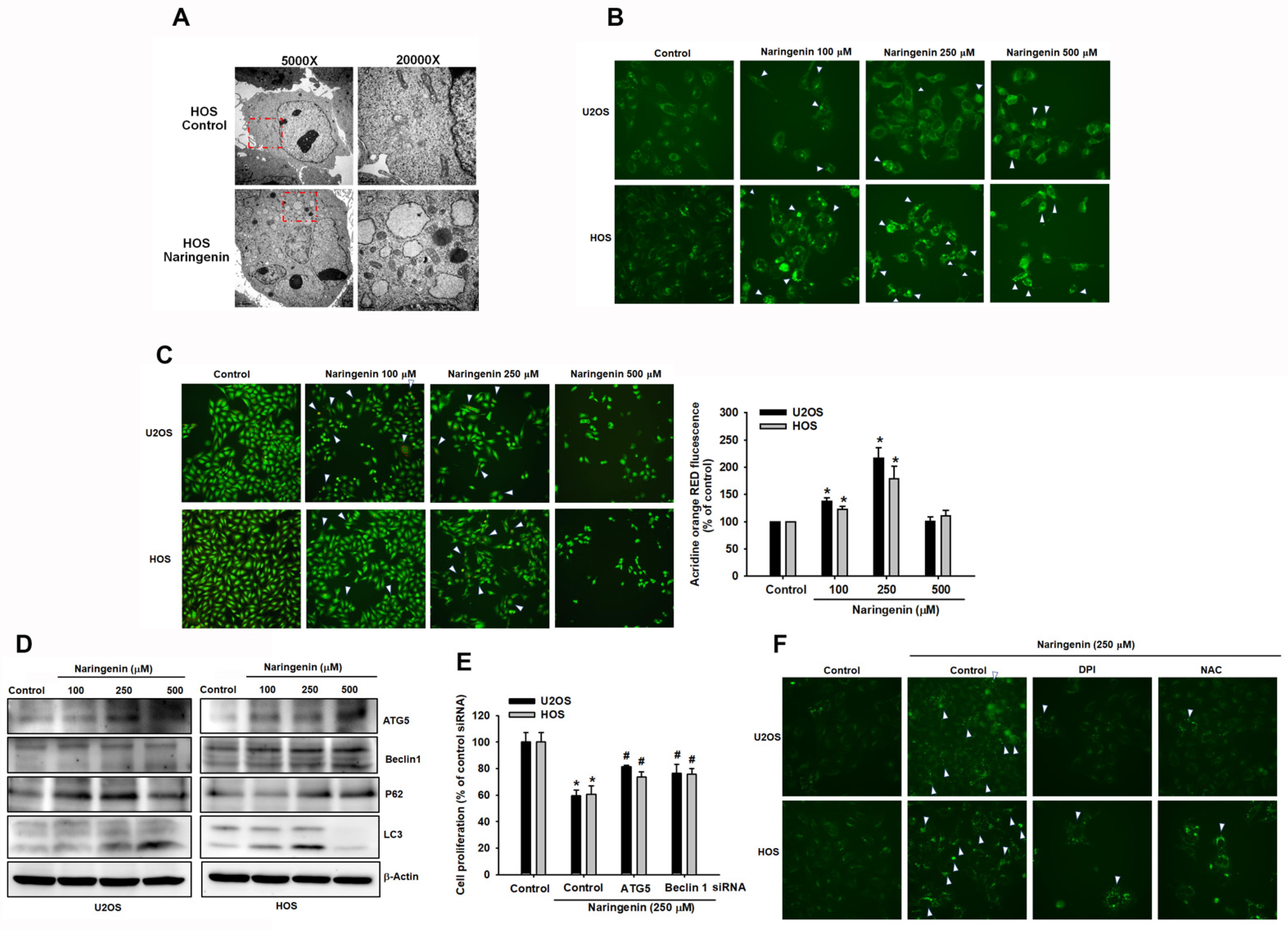 Molecules 27 00373 g006