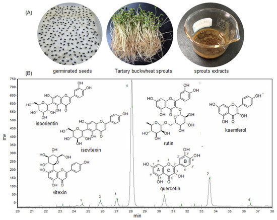 Chemical Profile, Antimicrobial and Antioxidant Activity