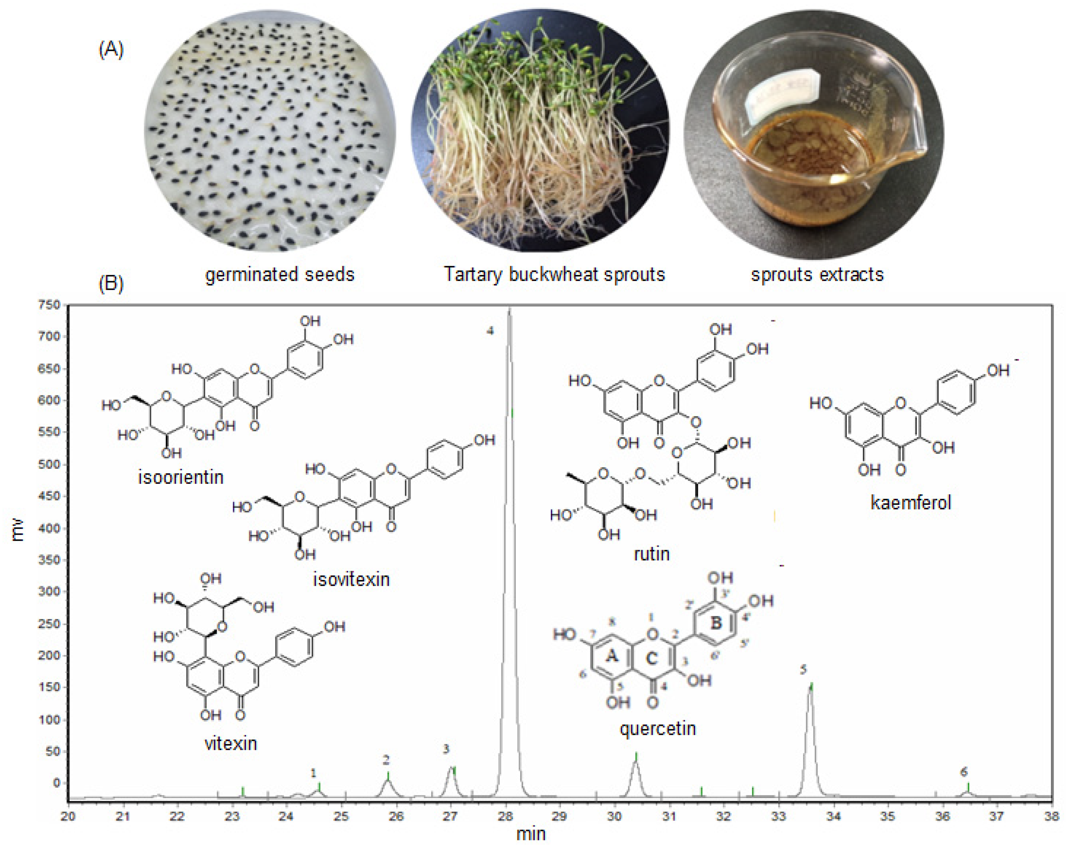 Molecules 27 00374 g001 Molecules 27 00374 g001