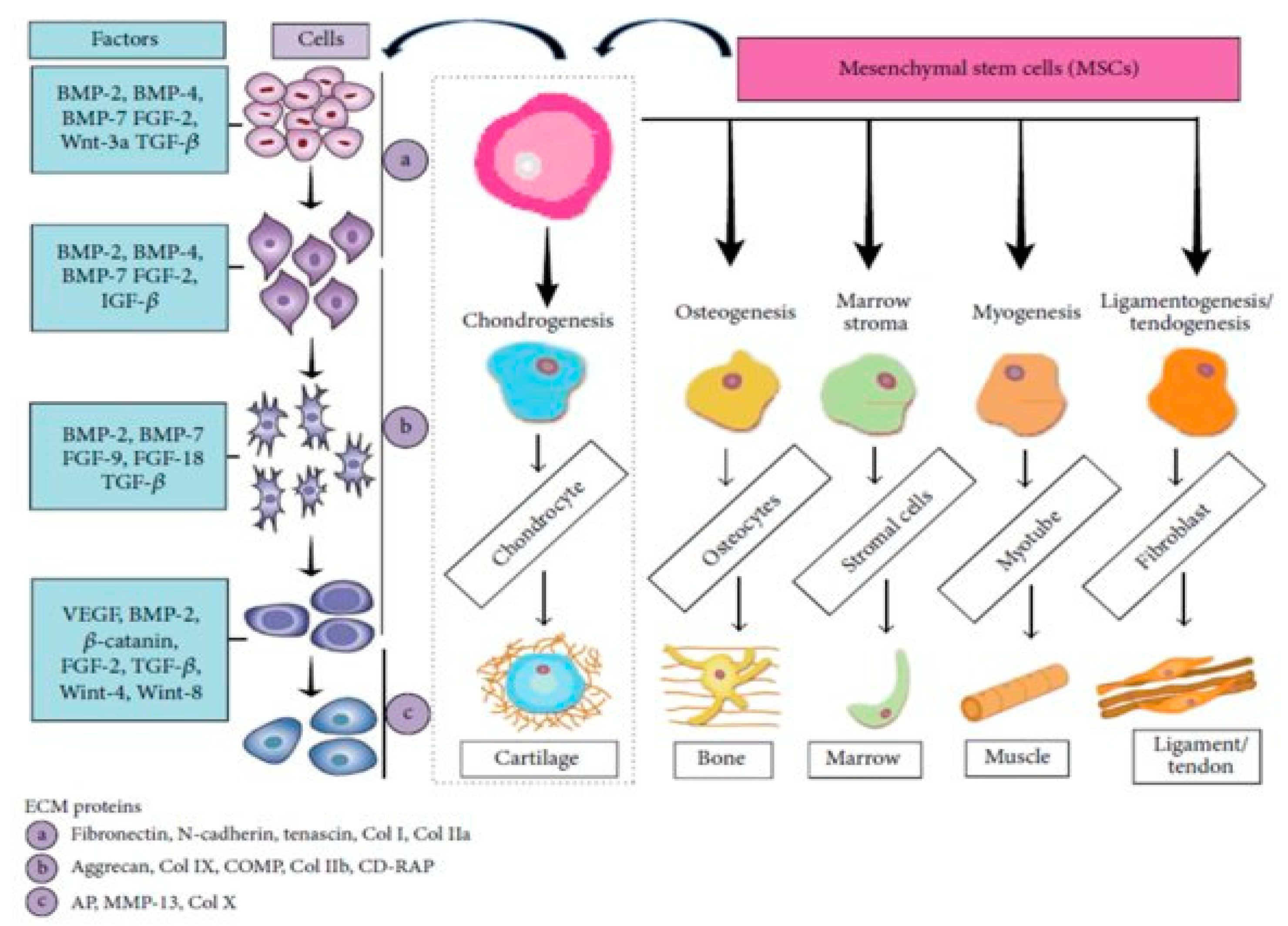Molecules 27 00379 g001 Molecules 27 00379 g001