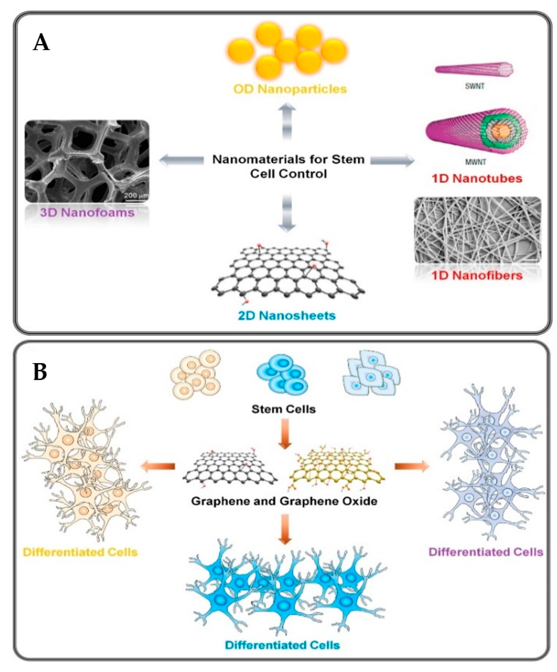 Molecules 27 00379 g002 Molecules 27 00379 g002