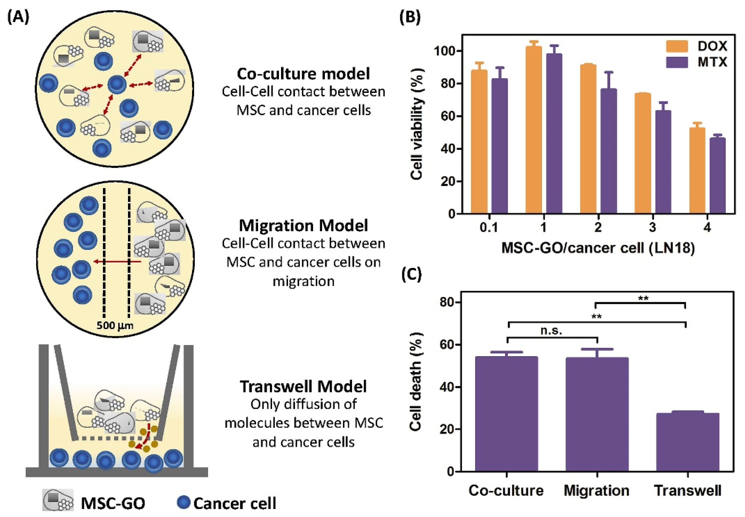 Molecules 27 00379 g004 Molecules 27 00379 g004