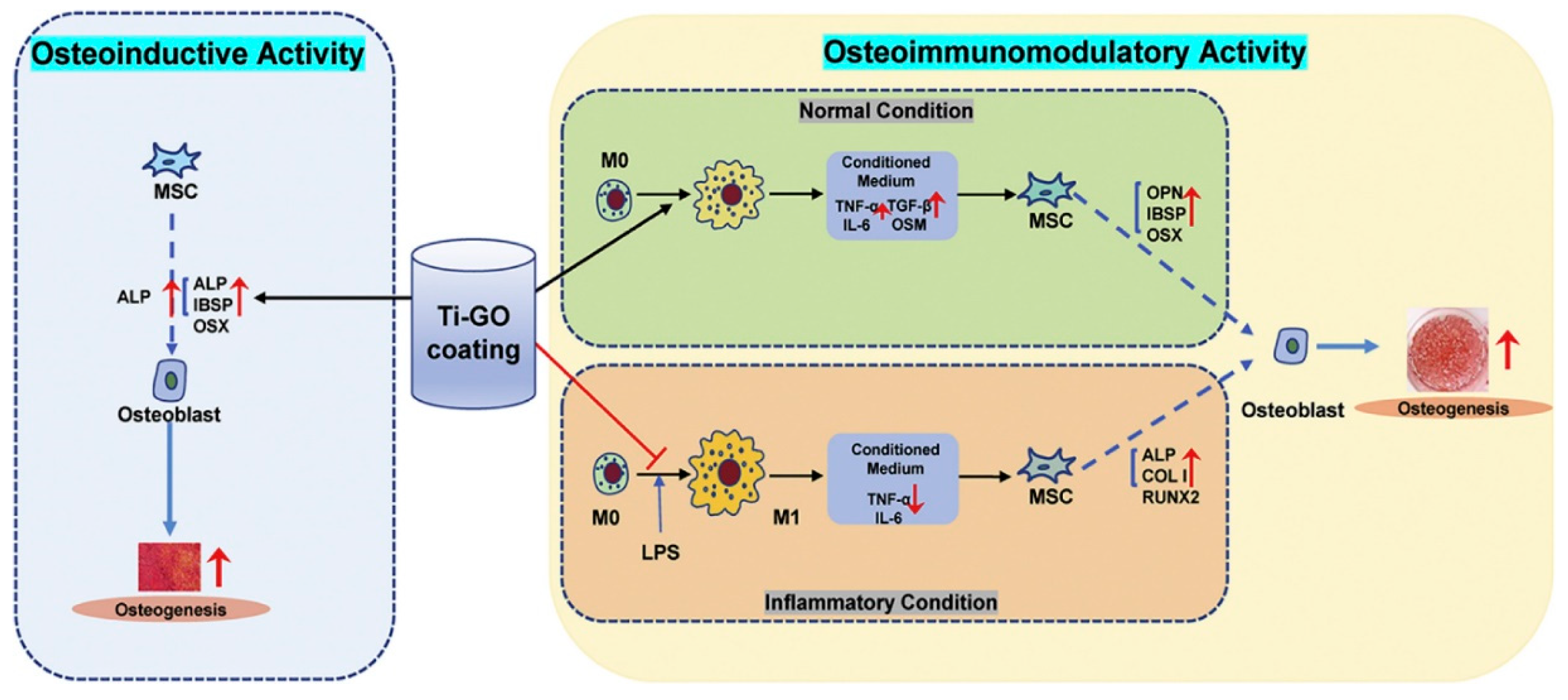 Molecules 27 00379 g009 Molecules 27 00379 g009