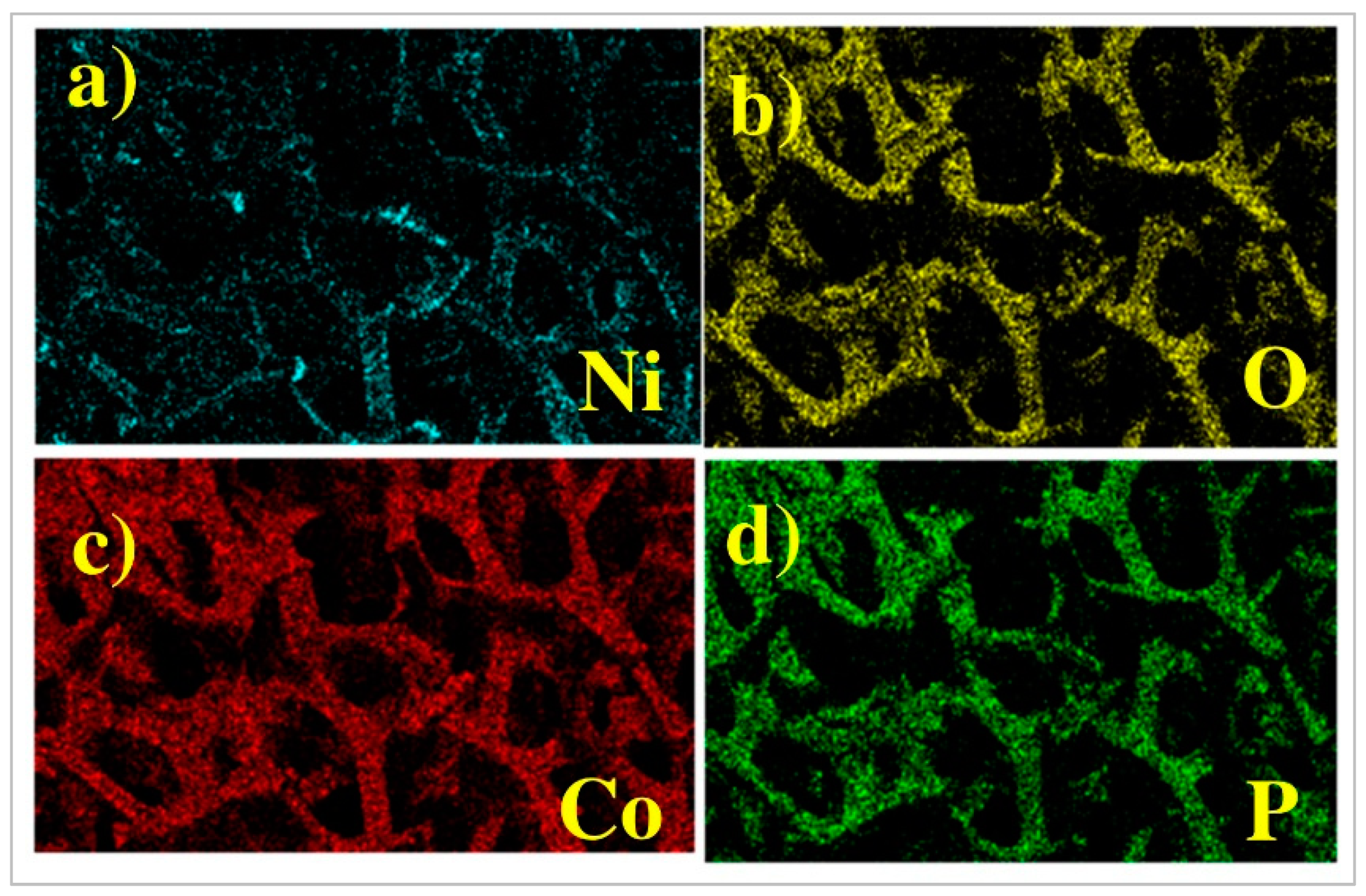 Molecules 27 00382 g002 550